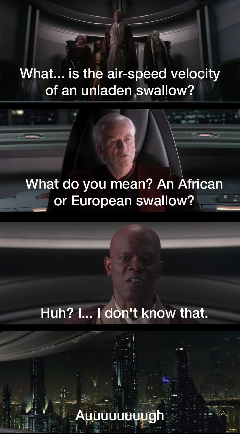 A prequel and Monty Python meme? A crossover to be sure, but a