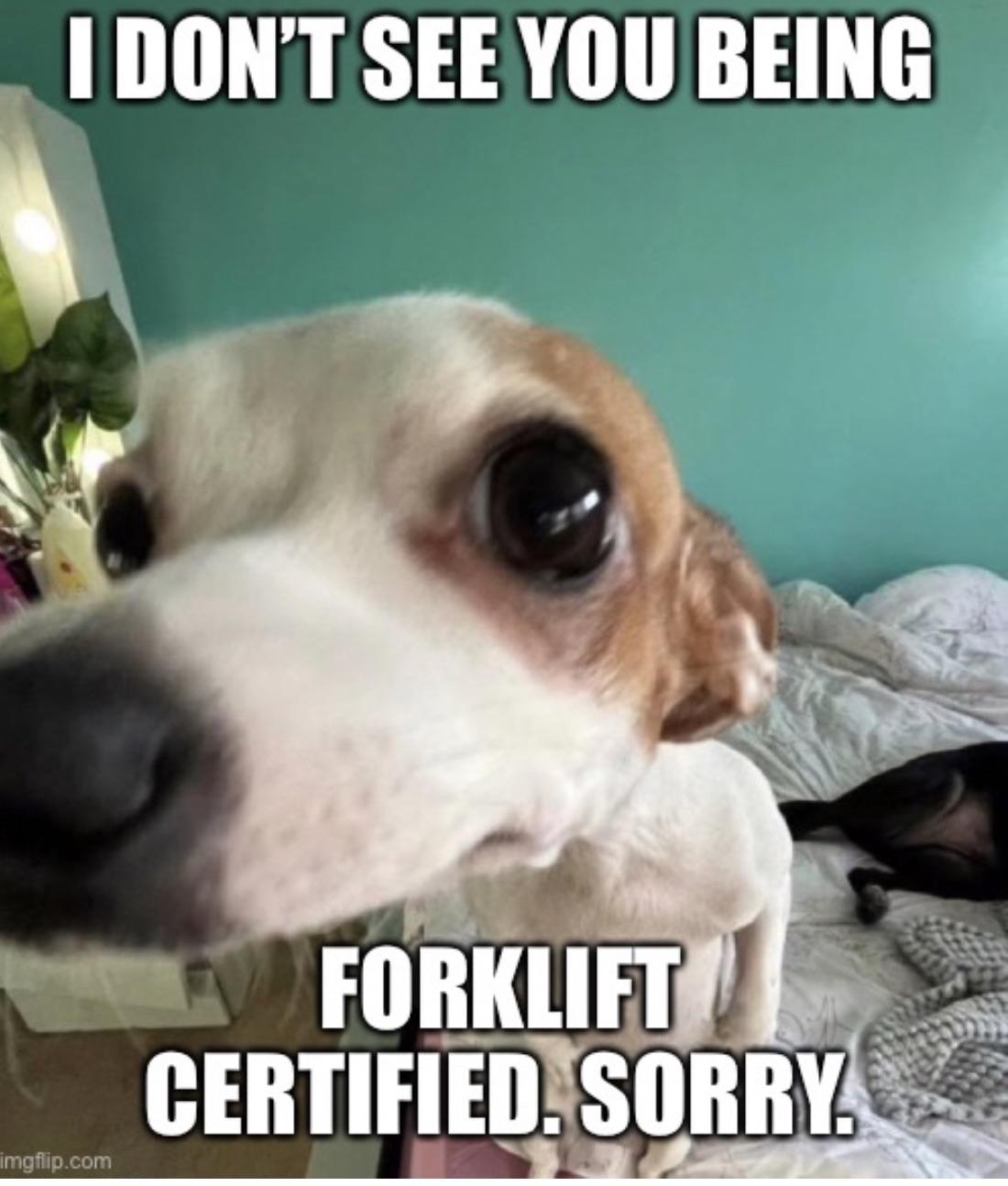 You’re the weakest link. Goodbye r/memes