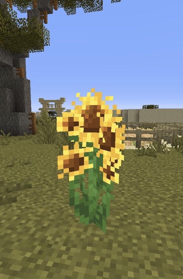 Made a sunflower bush texture to keep it more in lime with the other