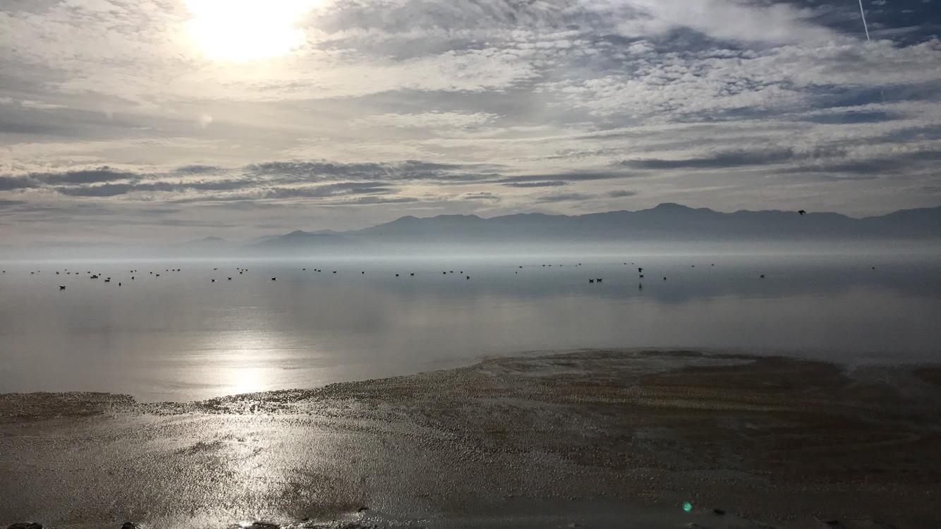 [TWoK] What I imagine the Pure Lake to look like. r/Stormlight_Archive