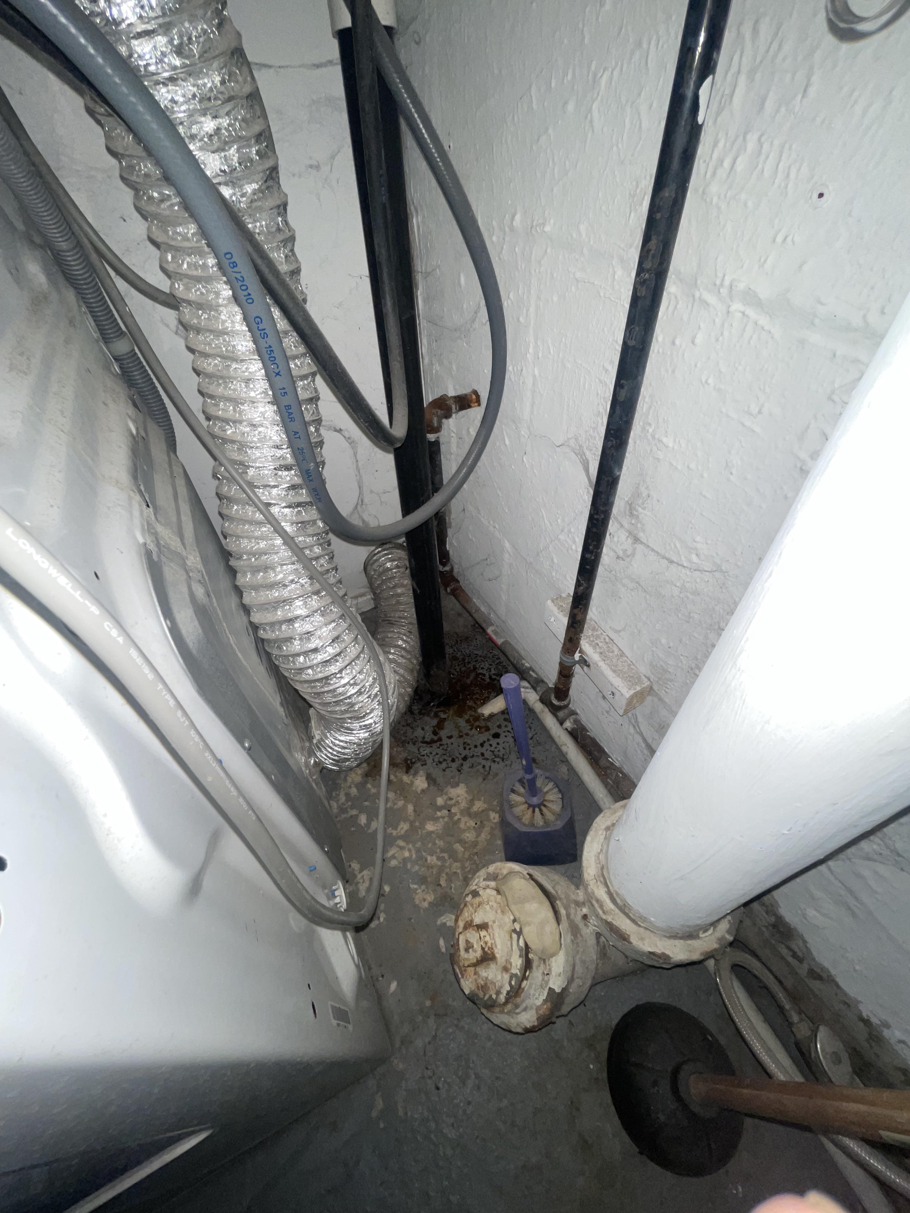 My house smells like sewage after many washer runs. What can I do? Here’s a pic of drain, looks