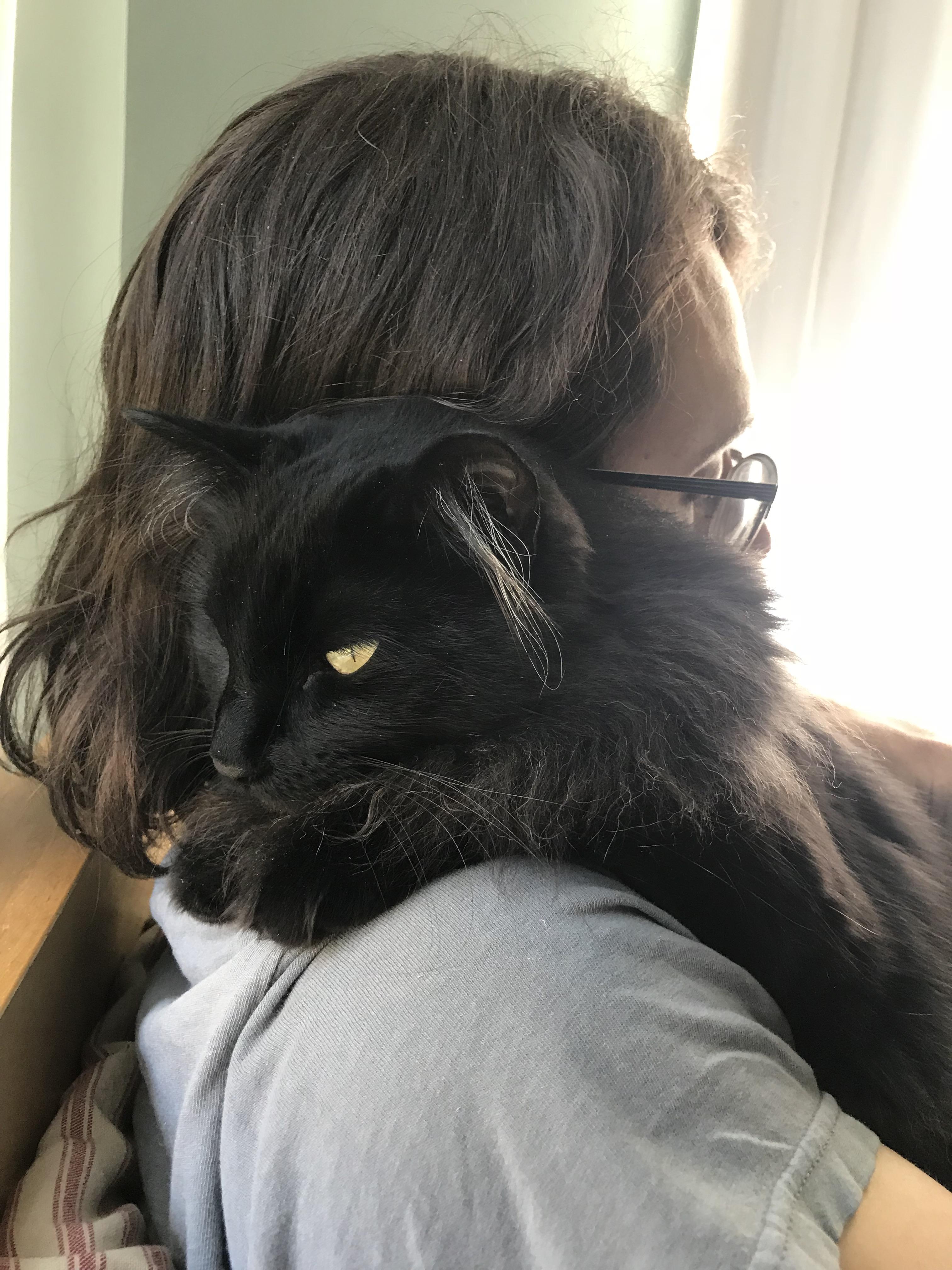 Ear furnishings tufts growing from inside the ear. And Edith’s ear