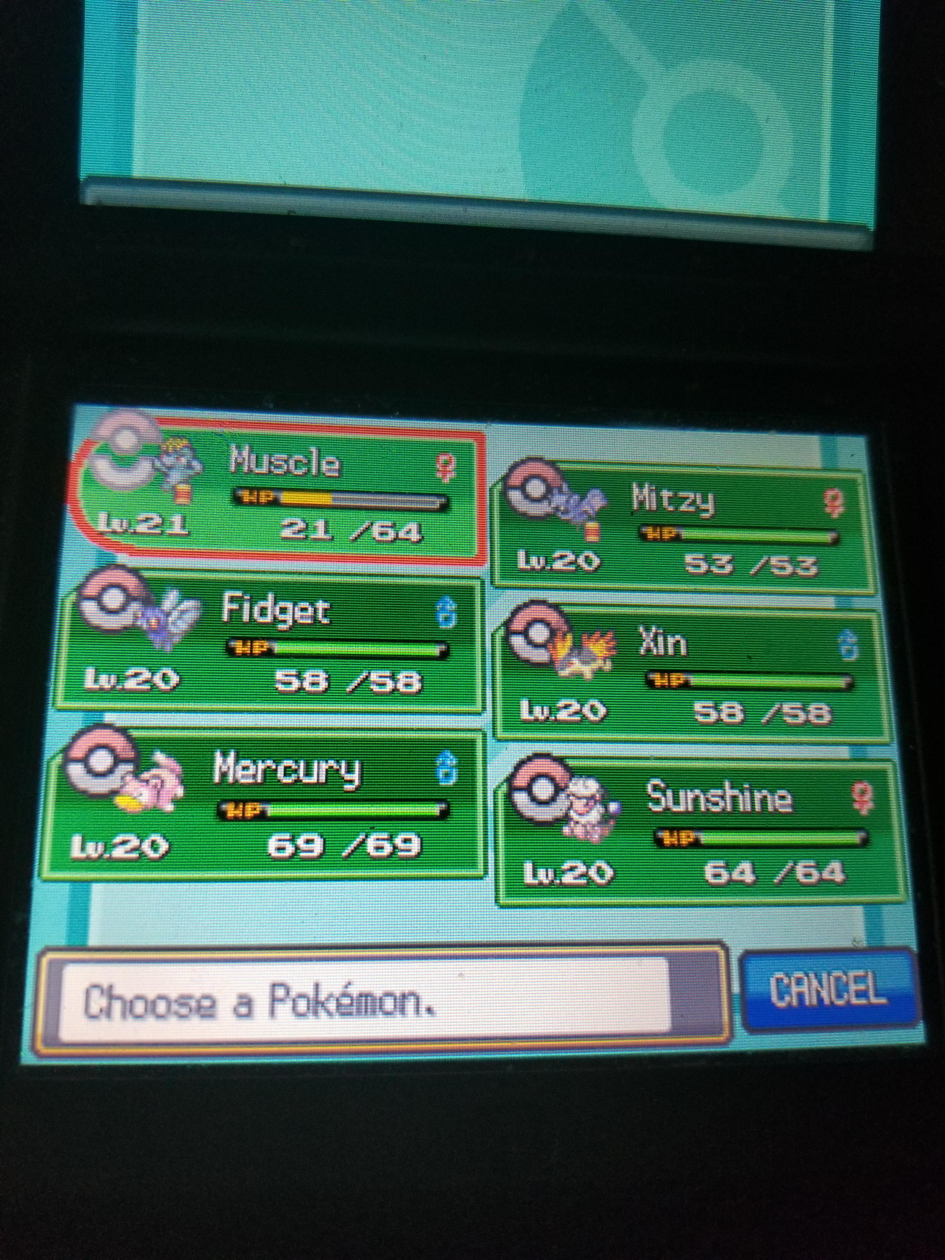 Team after Whitney [HeartGold] r/nuzlocke