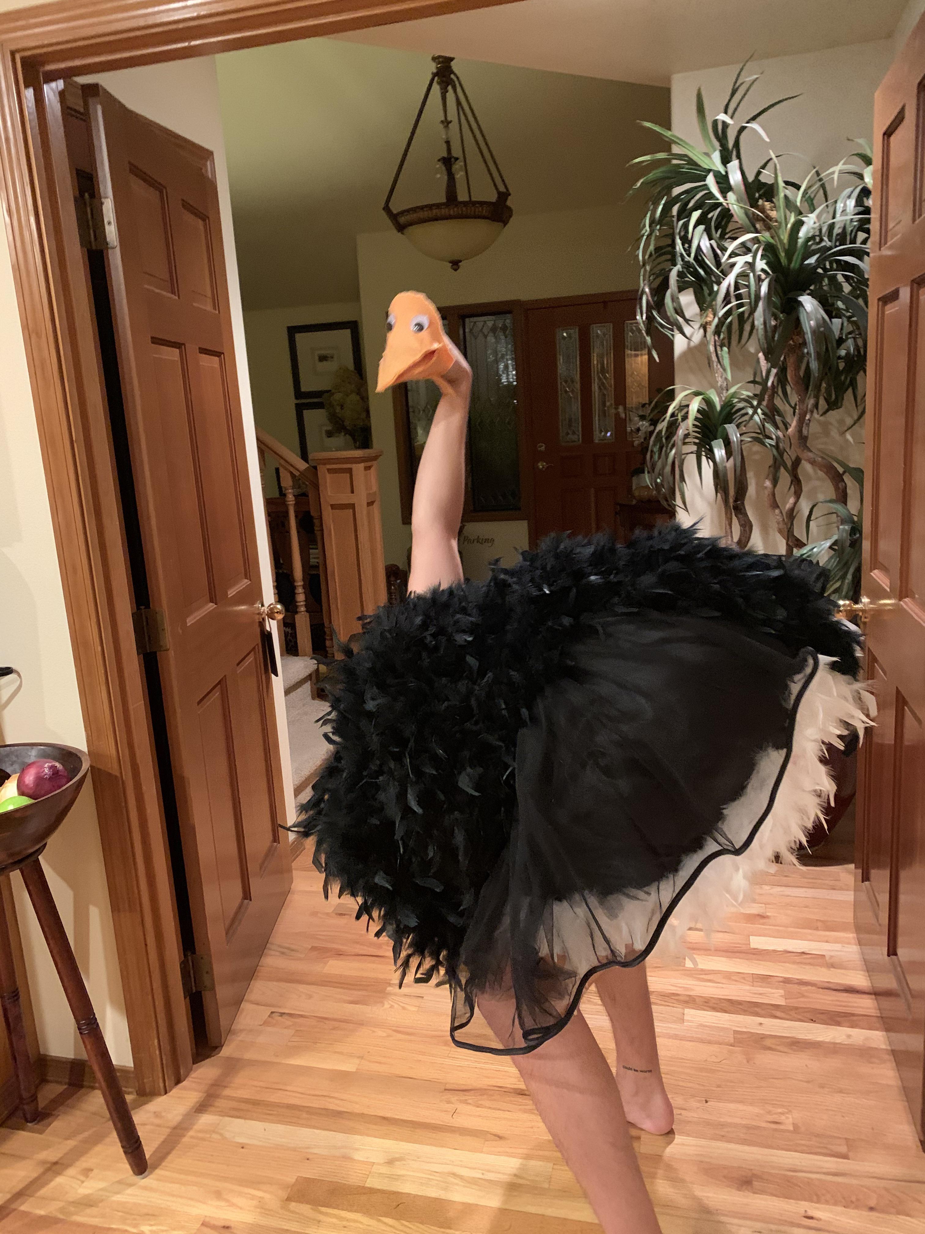 My ostrich costume from last year r/funny