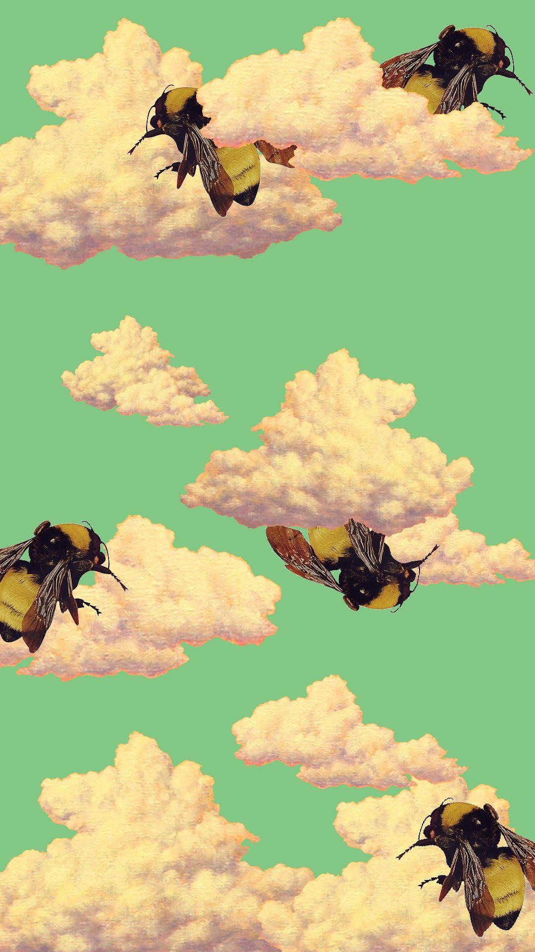 Flower Boy Lock Screen pt. 2 r/tylerthecreator