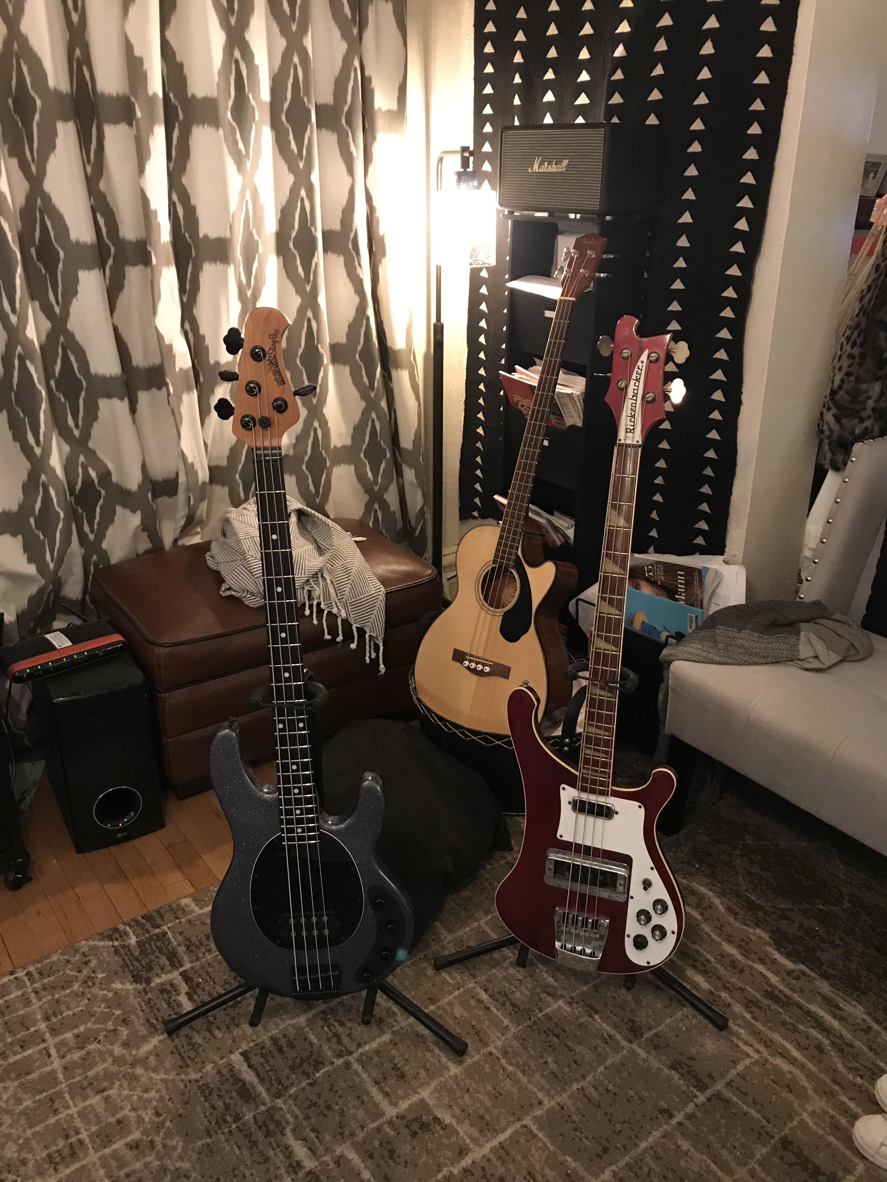 A Bass Guitar Reddit