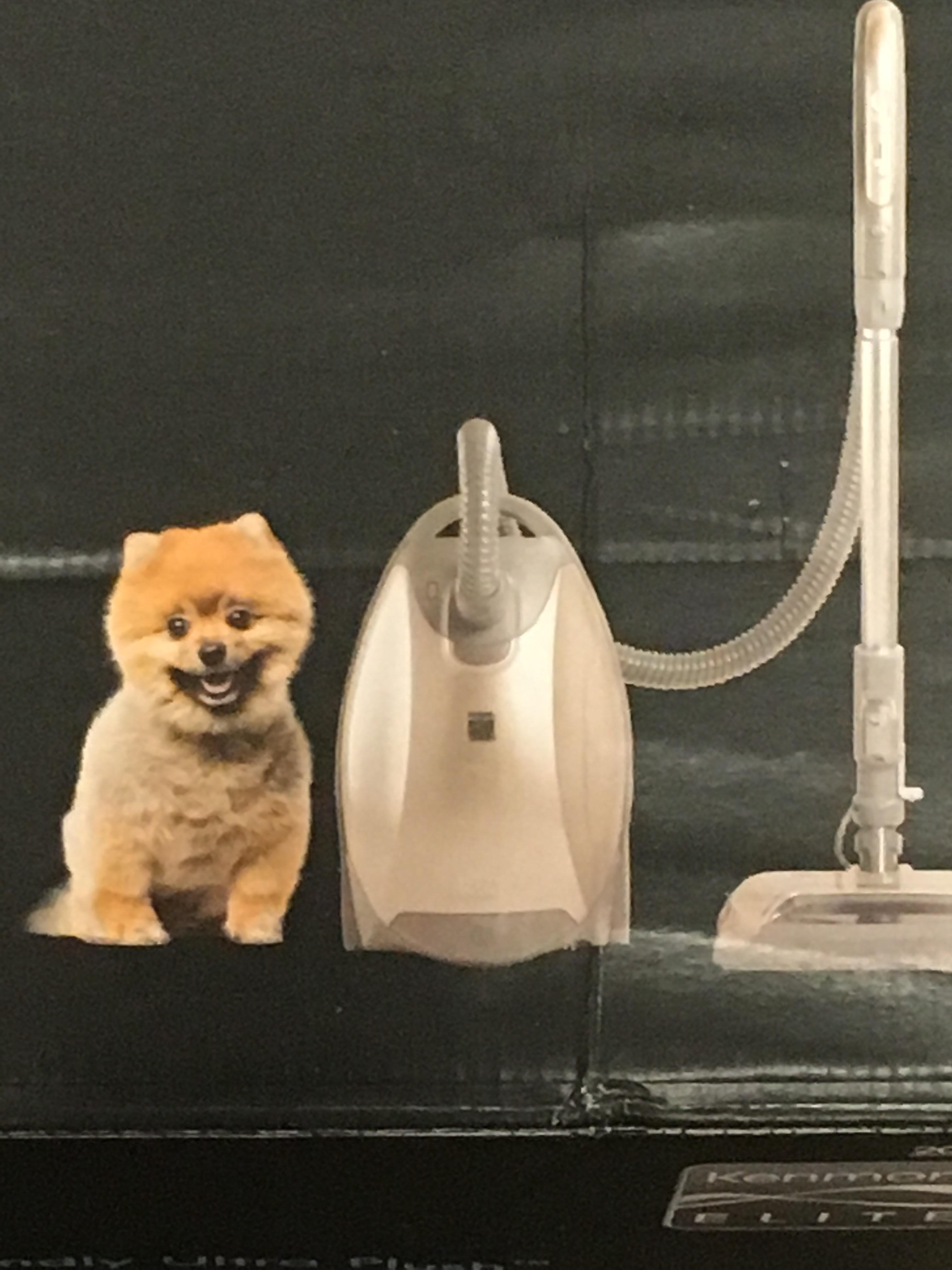this dog on a vacuum cleaner box looks fake r/mildlyinteresting