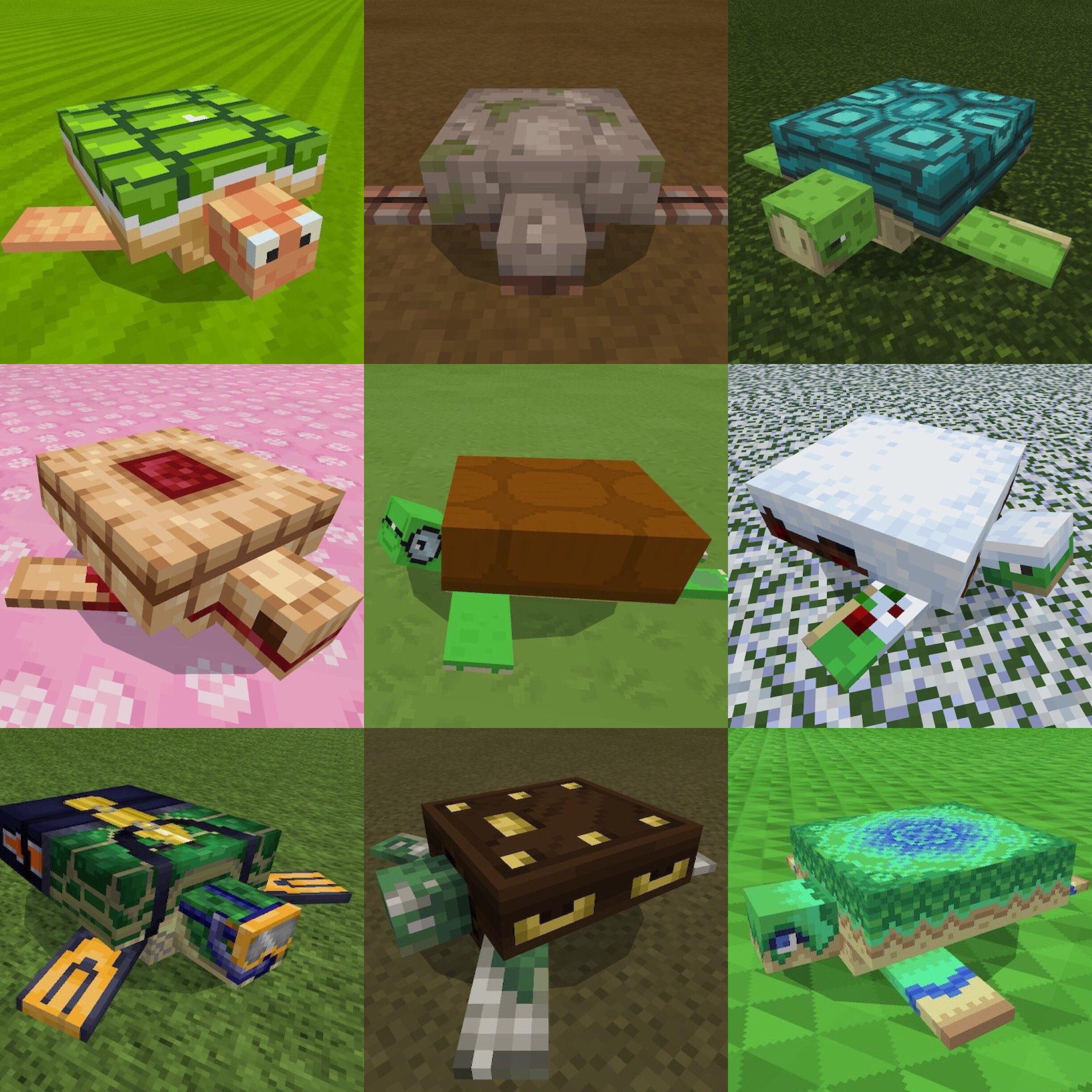 Turtle Skins FTW ! r/Minecraft