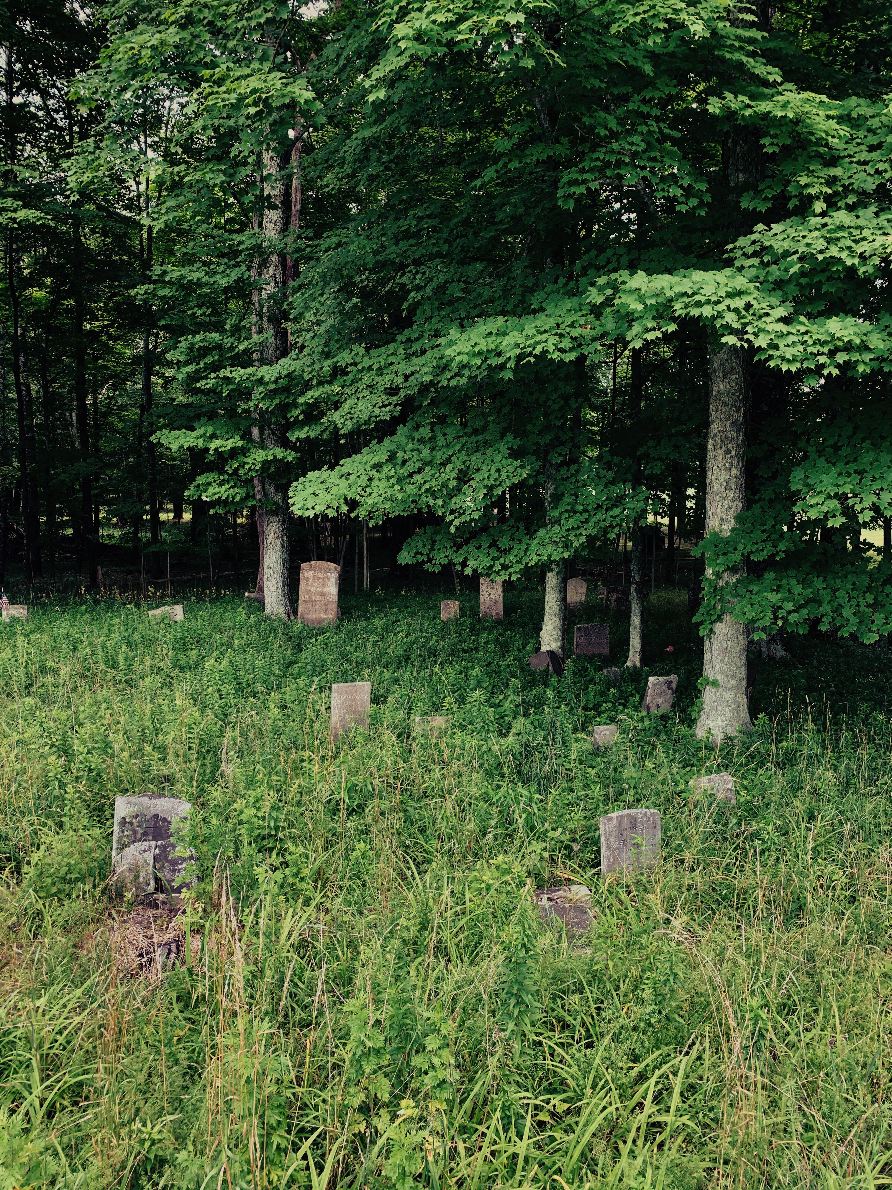 Abandoned cemetery in Upstate New York r/abandoned