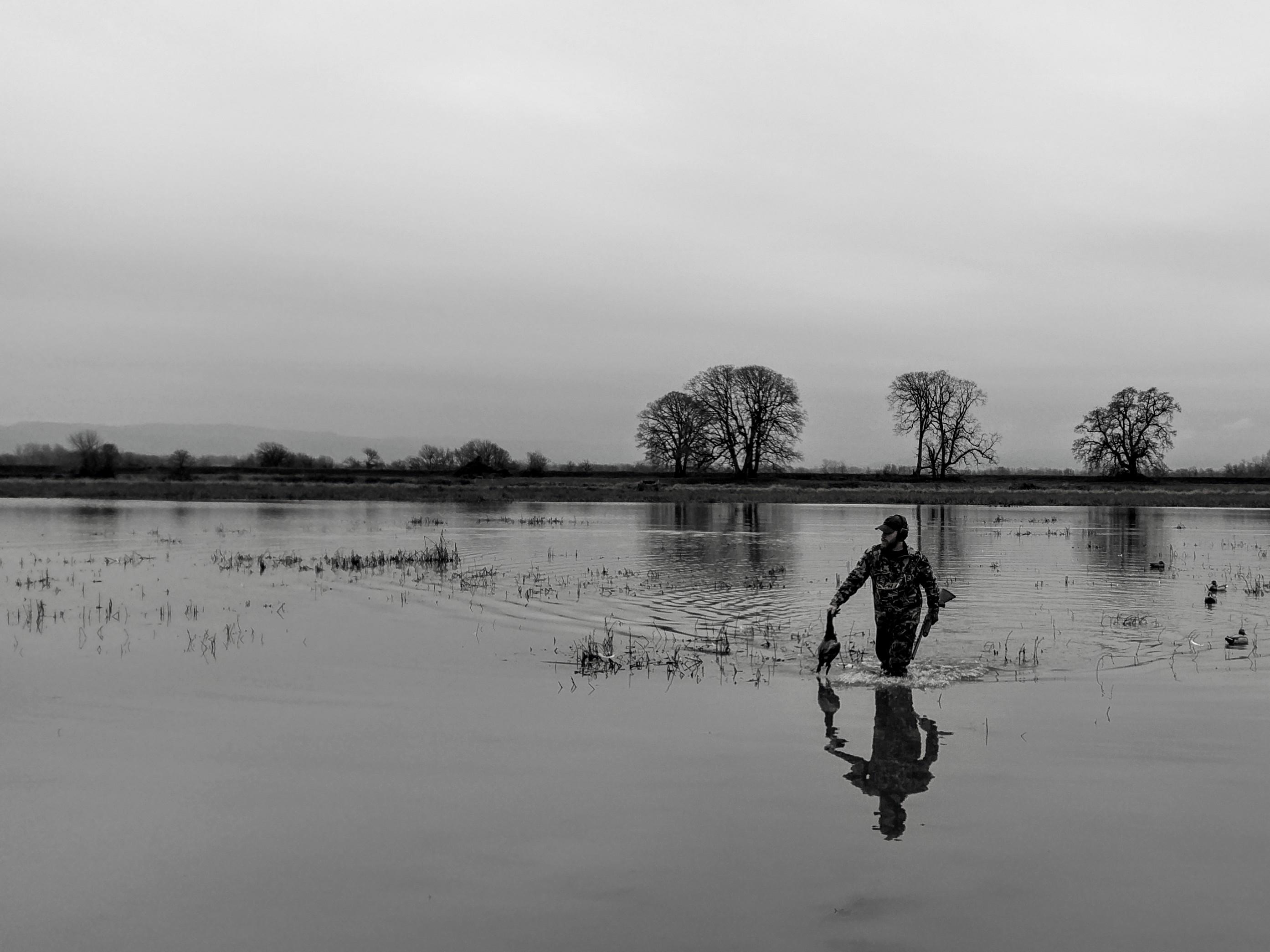 My first ever duck hunt. Sauvie Island, OR. Snapped this shot of my
