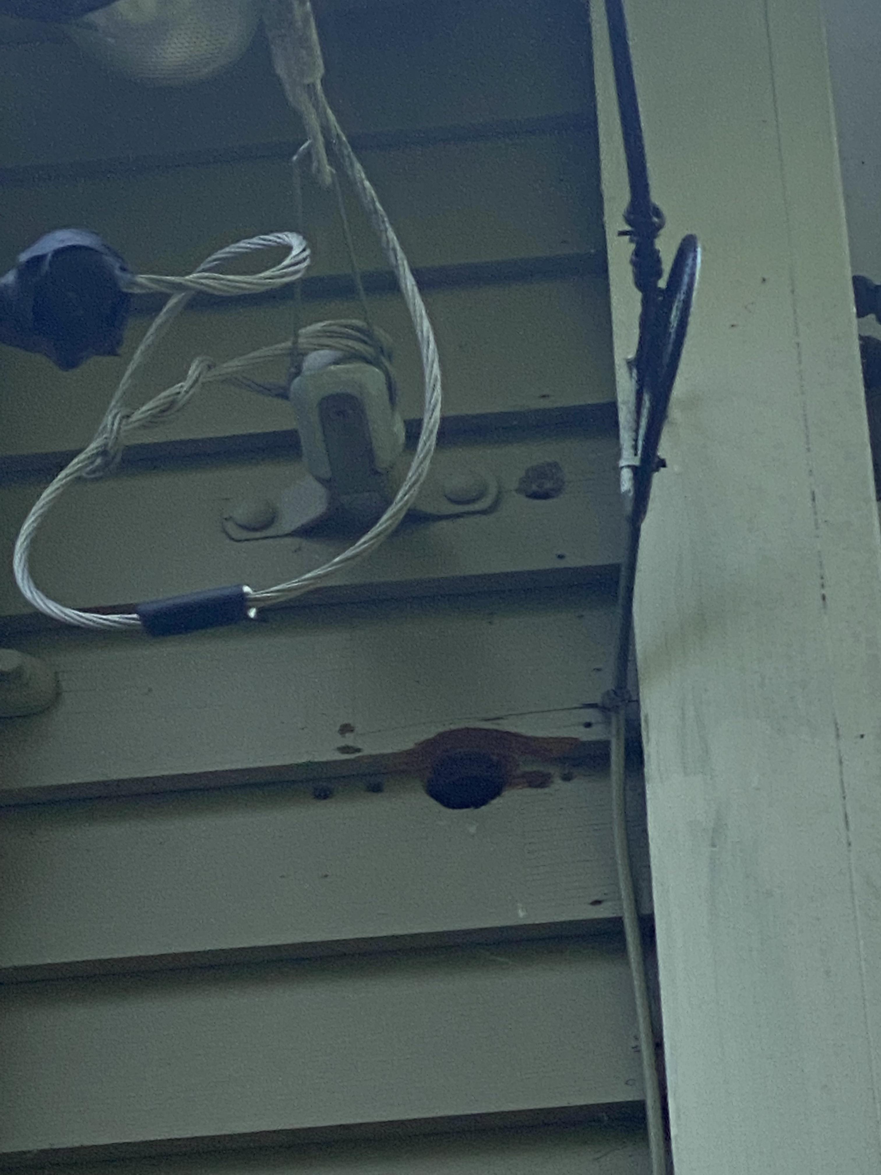How do I repair damage caused by a woodpecker to the side of my house
