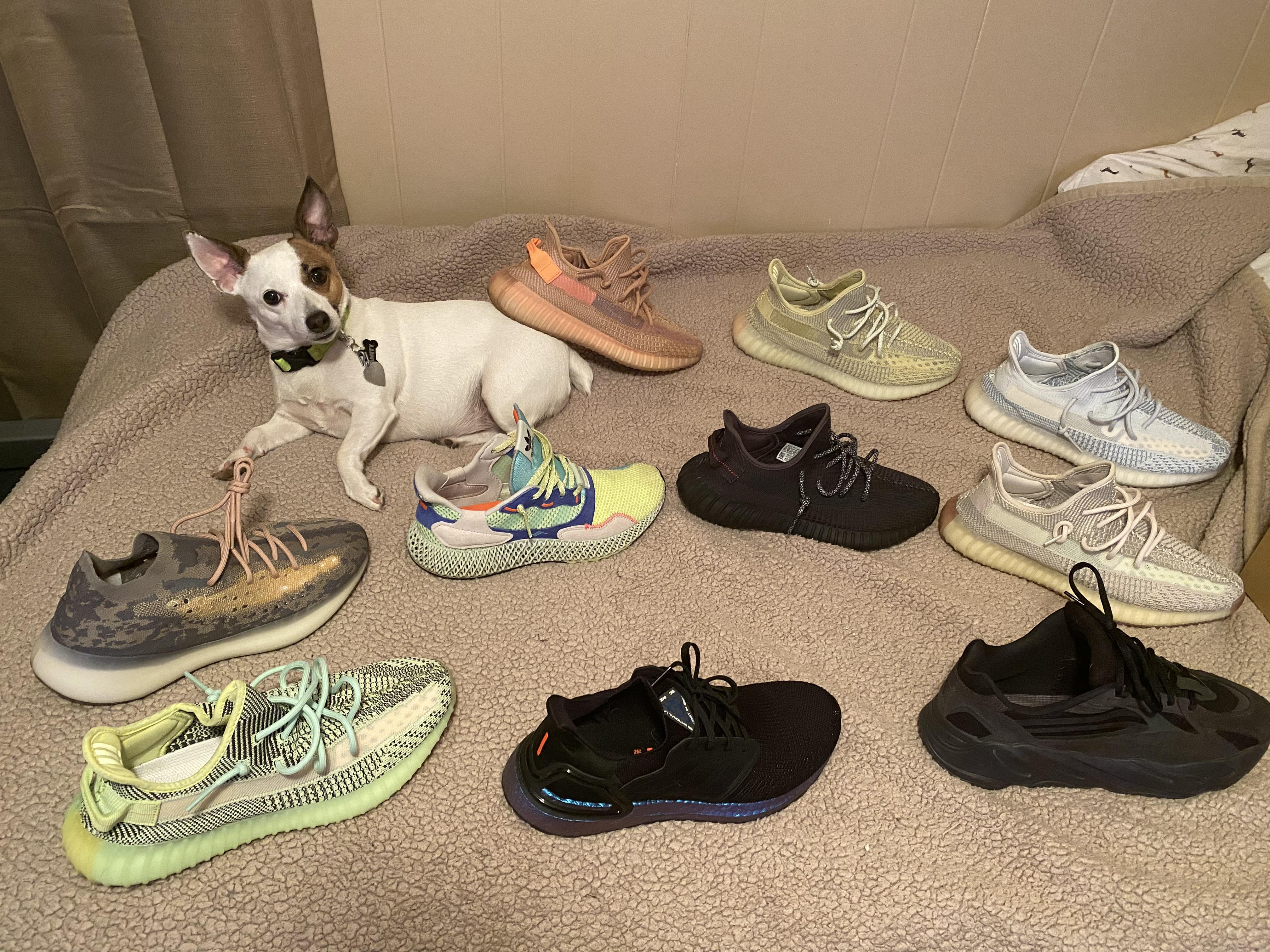 The adidas collection r/yeezys