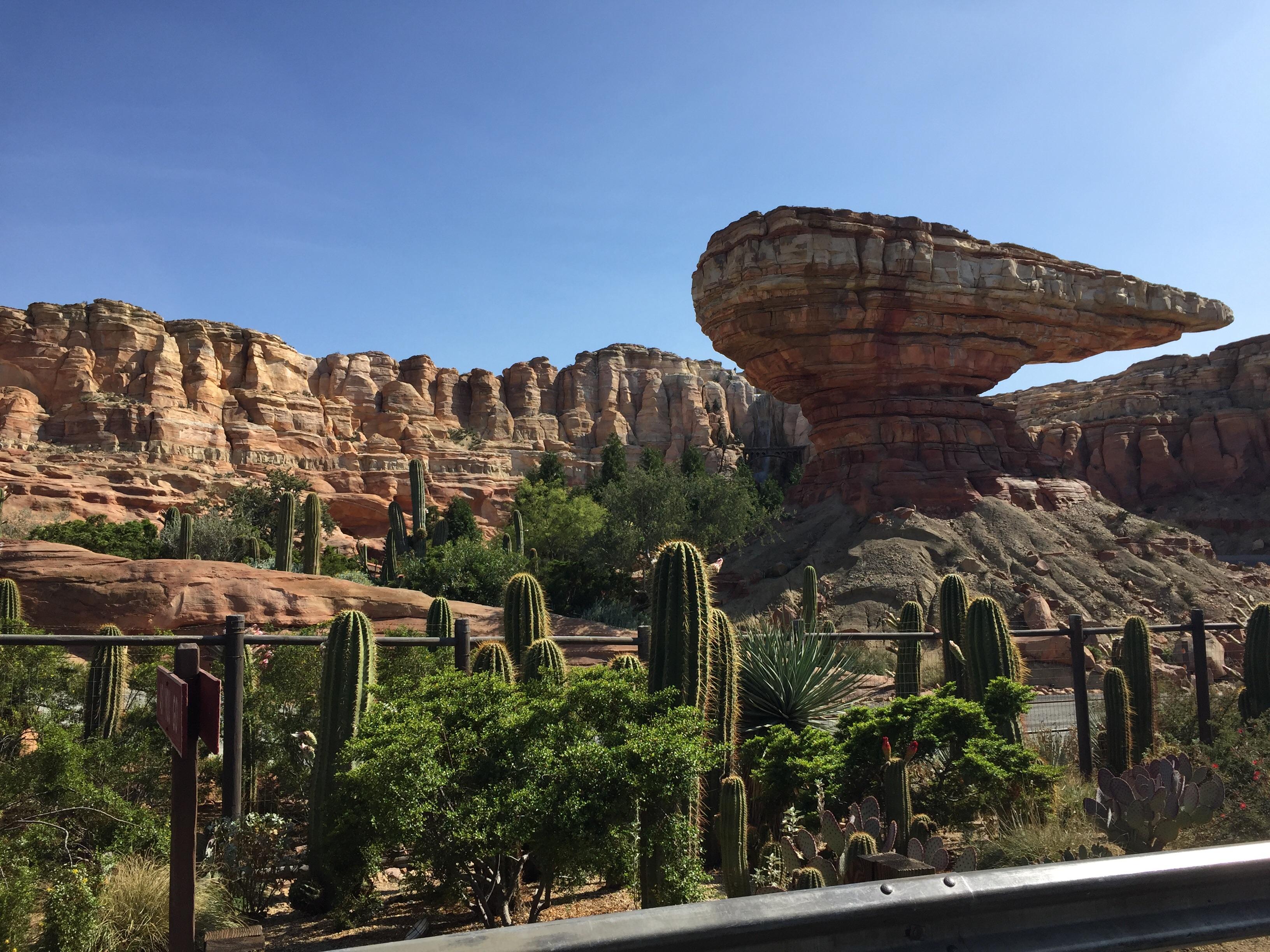 Radiator Springs is one of my favorite spots in the park. r/Disneyland
