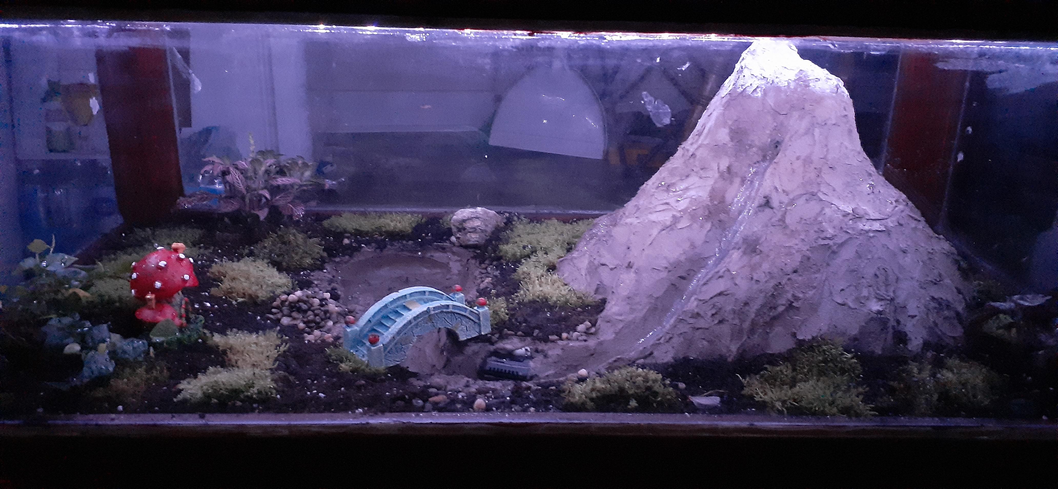 Terrarium Coffee Table near completion r/terrariums