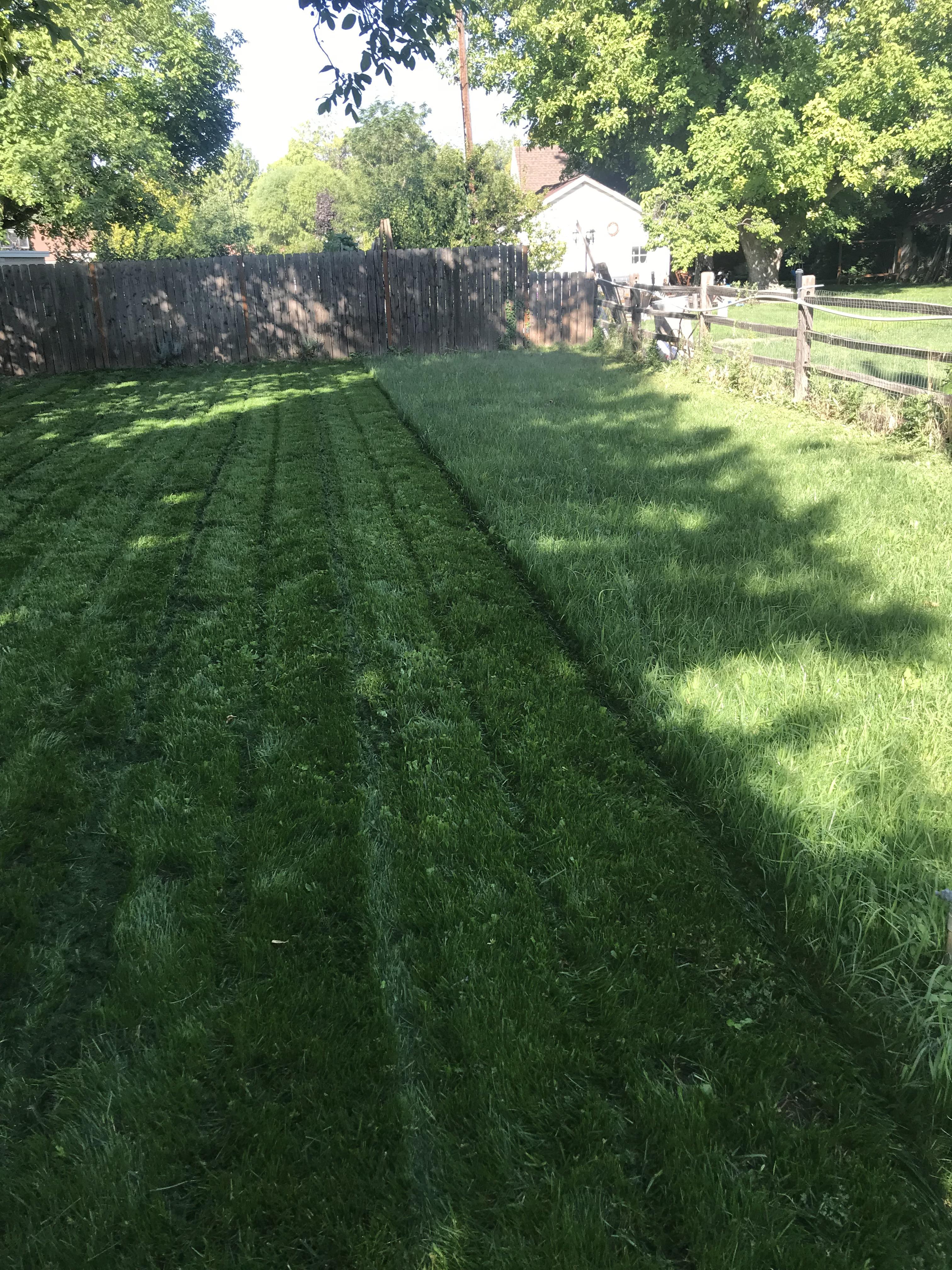 My wife and I spent 2 months this spring tilling the ground, bringing