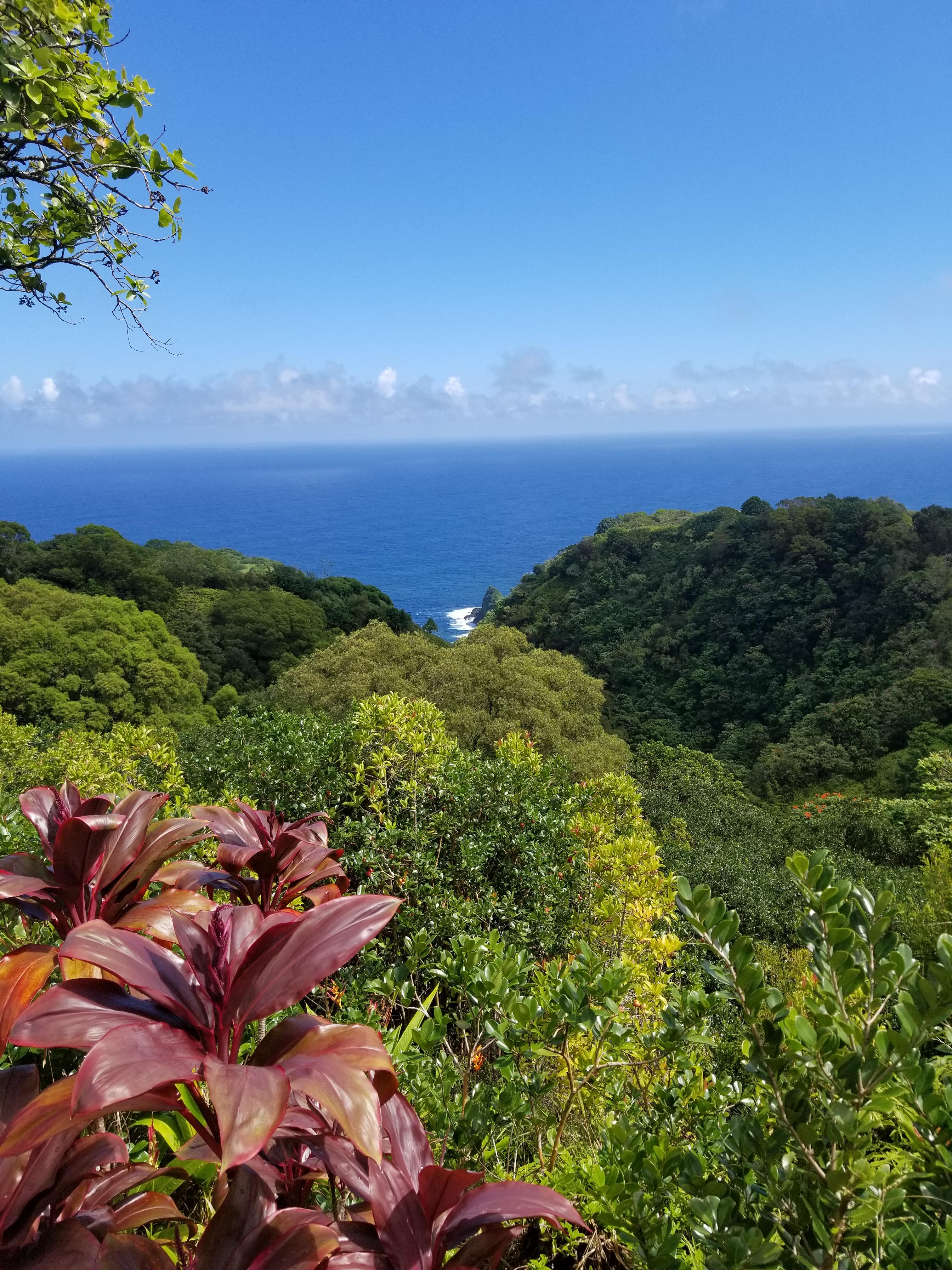 Garden of Eden, Maui, Hawaii (OC) [4032x3024] r/EarthPorn