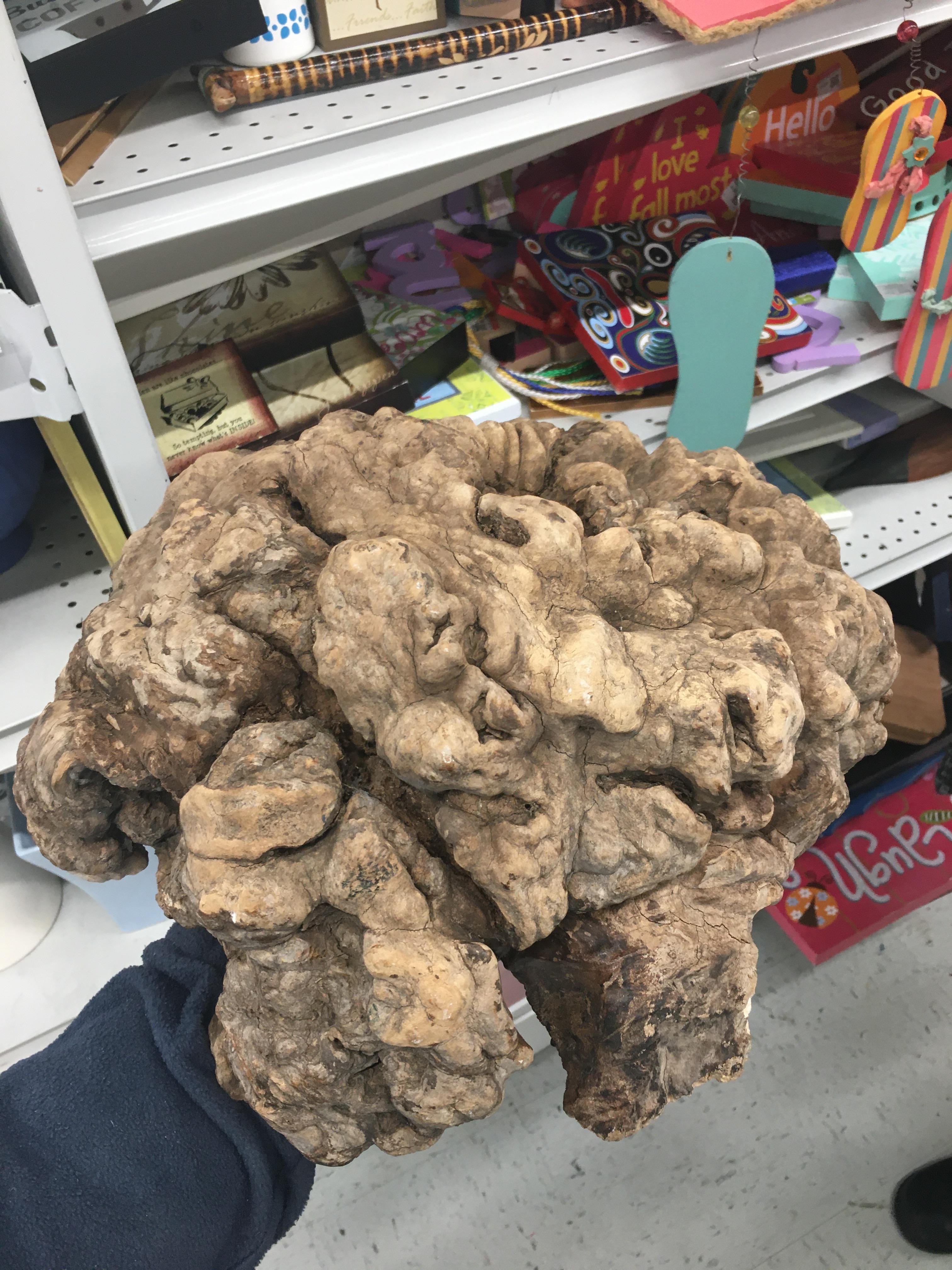 Thrift store burl worth 7? r/turning