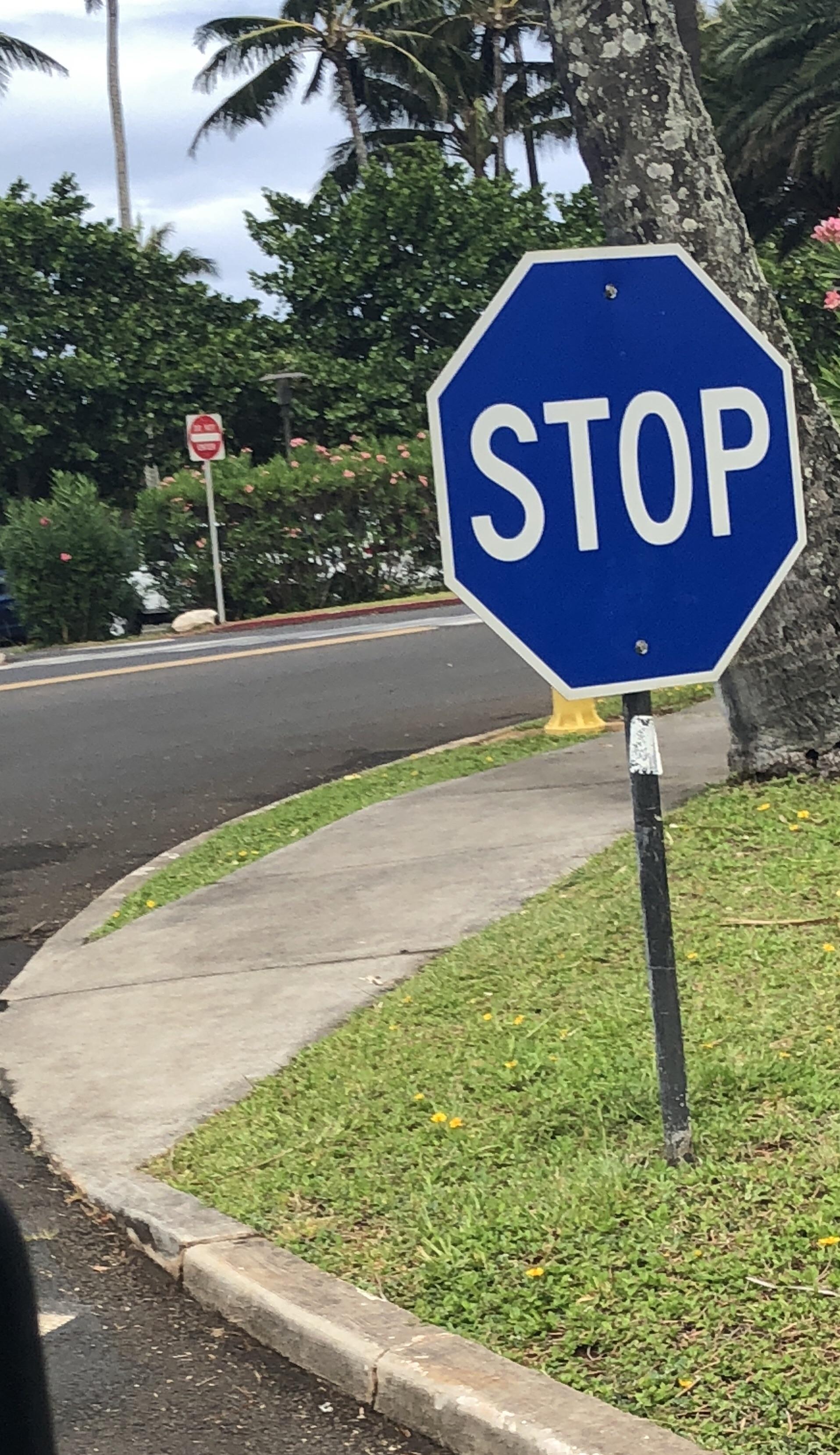 This blue stop sign in Kawela Bay, Hawaii r/mildlyinteresting