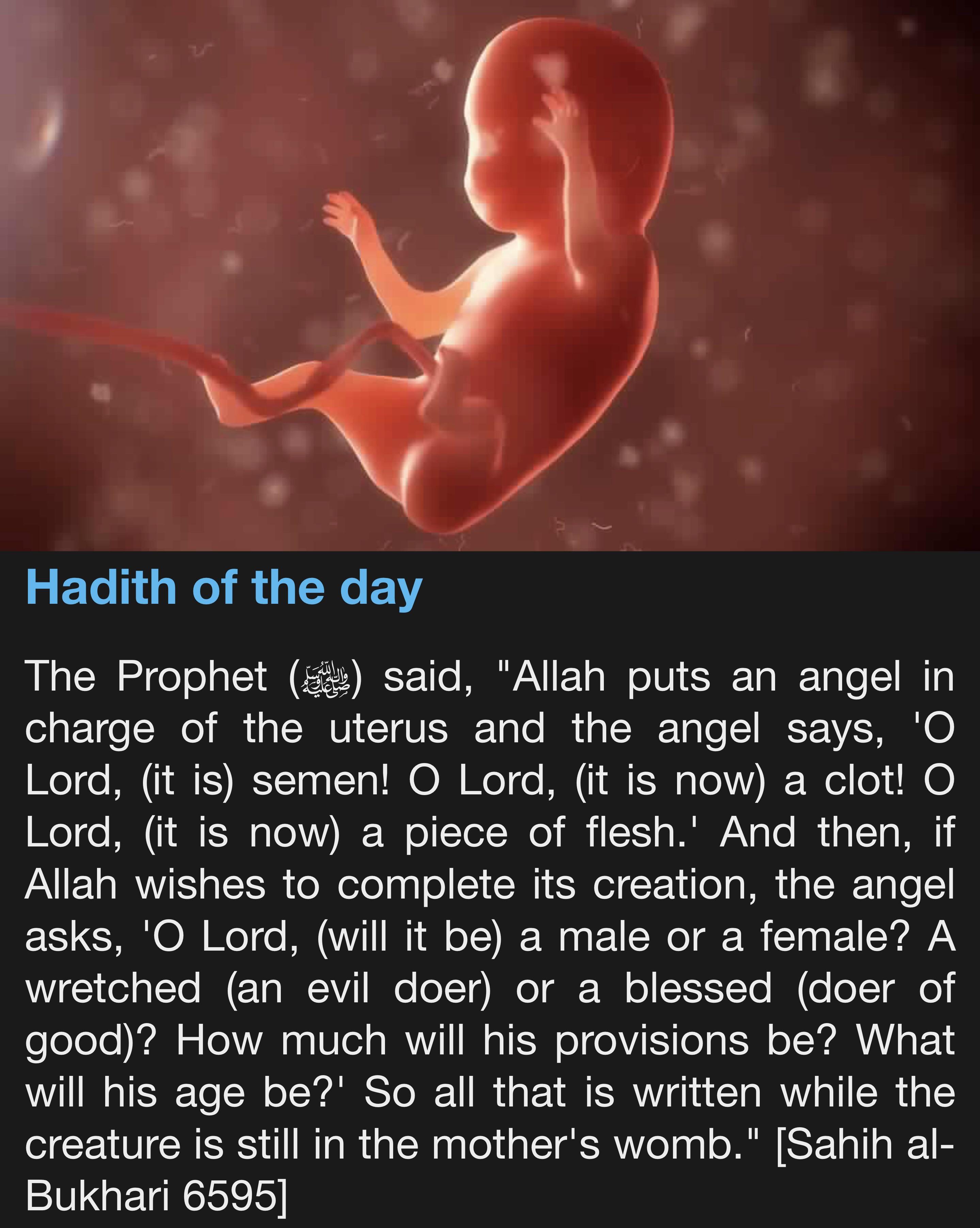 Hadith of the day islam