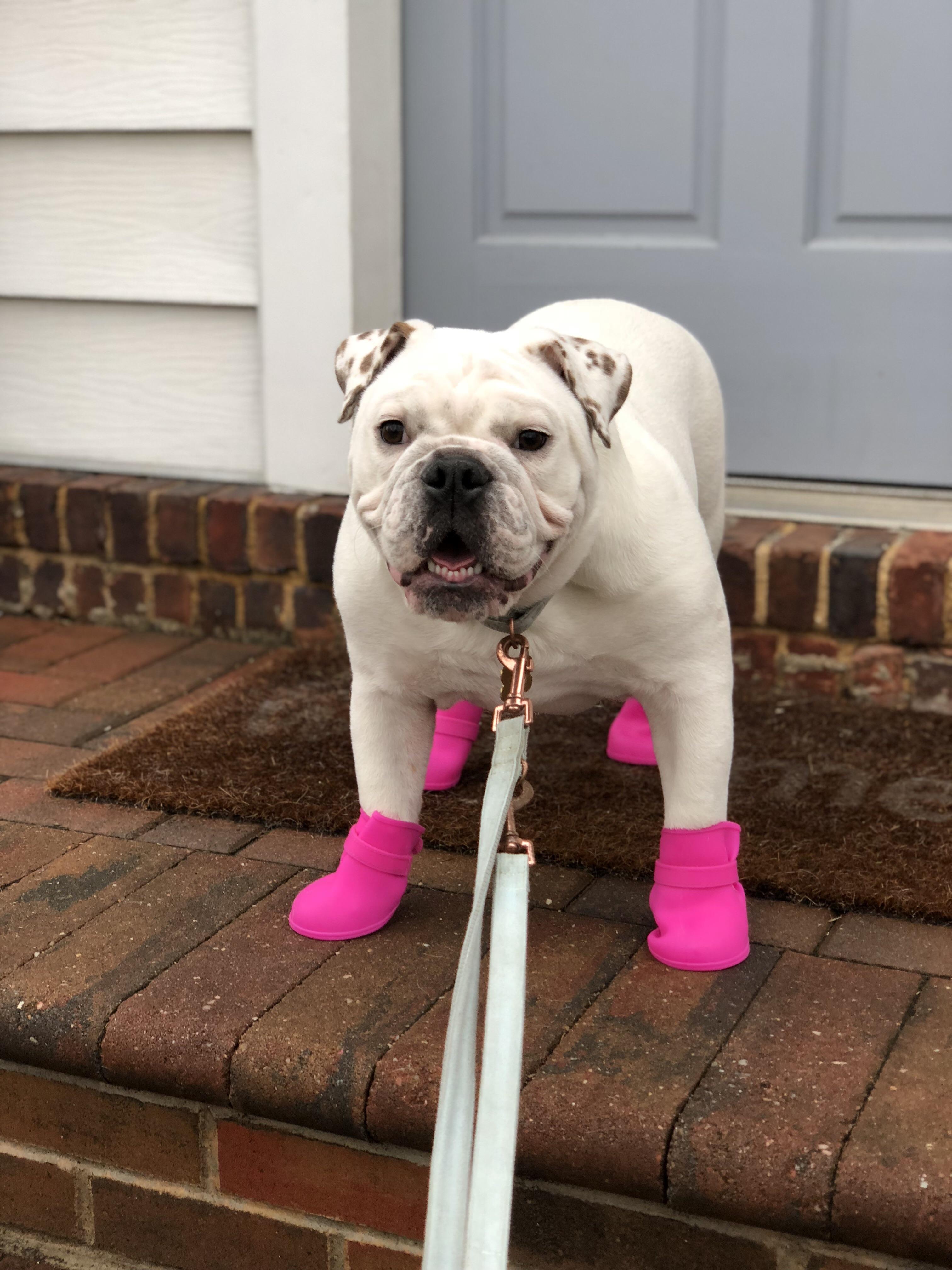 These boots are made for walkin r/Bulldogs