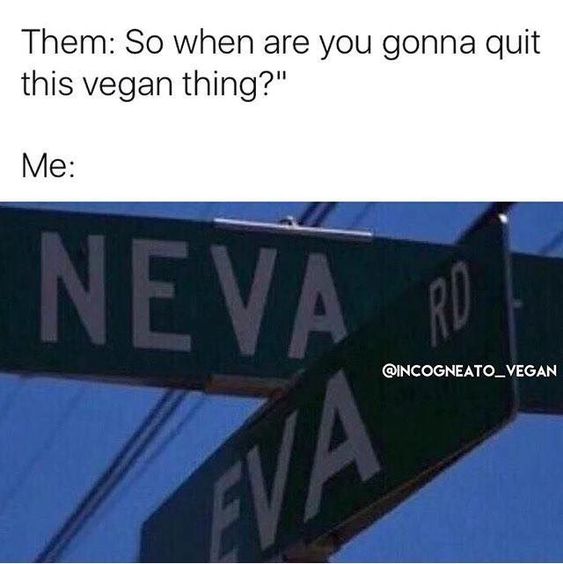 Never... r/vegan