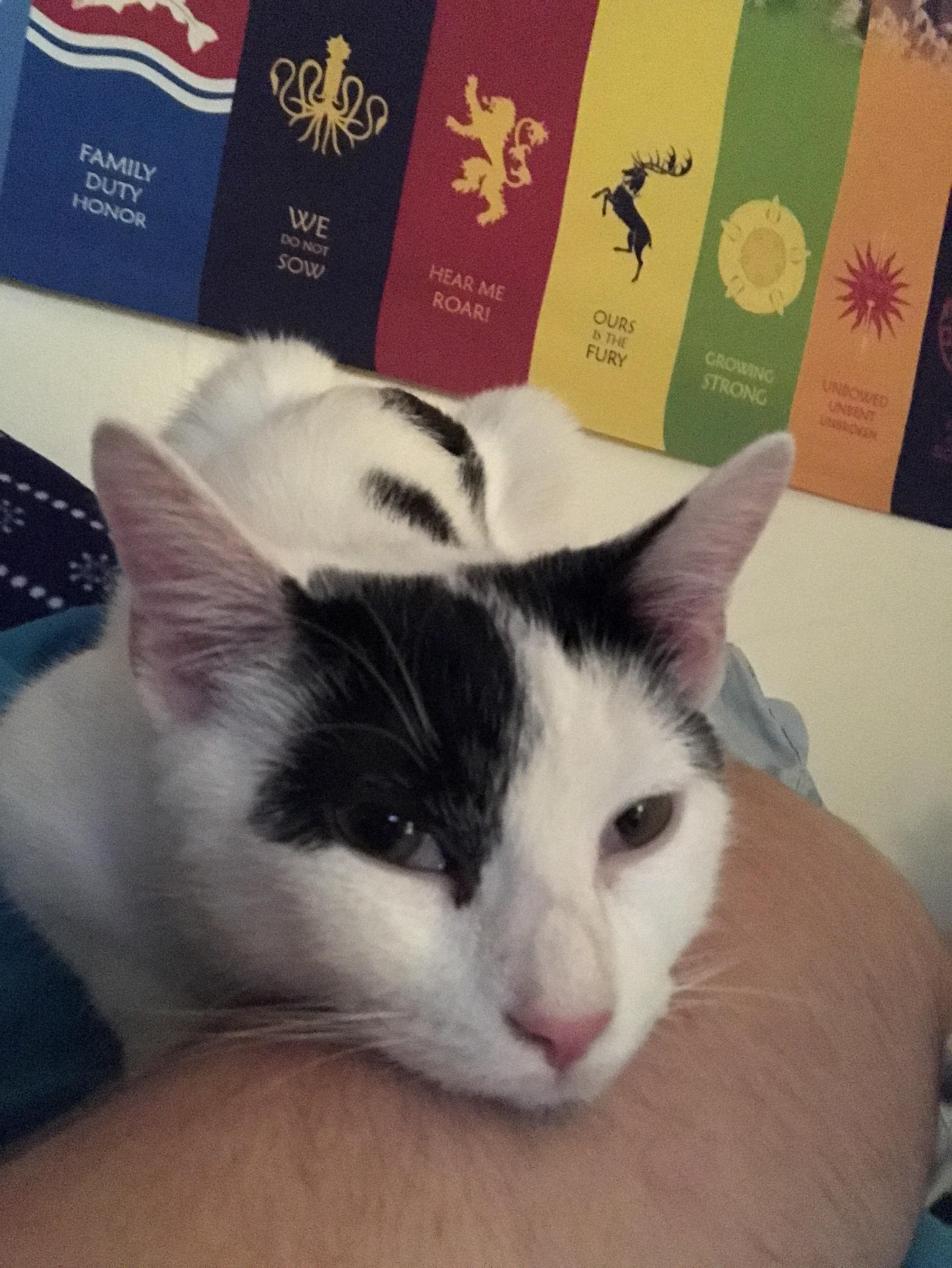 I M In The Bed When I'm in bed, I'm her bed. aww