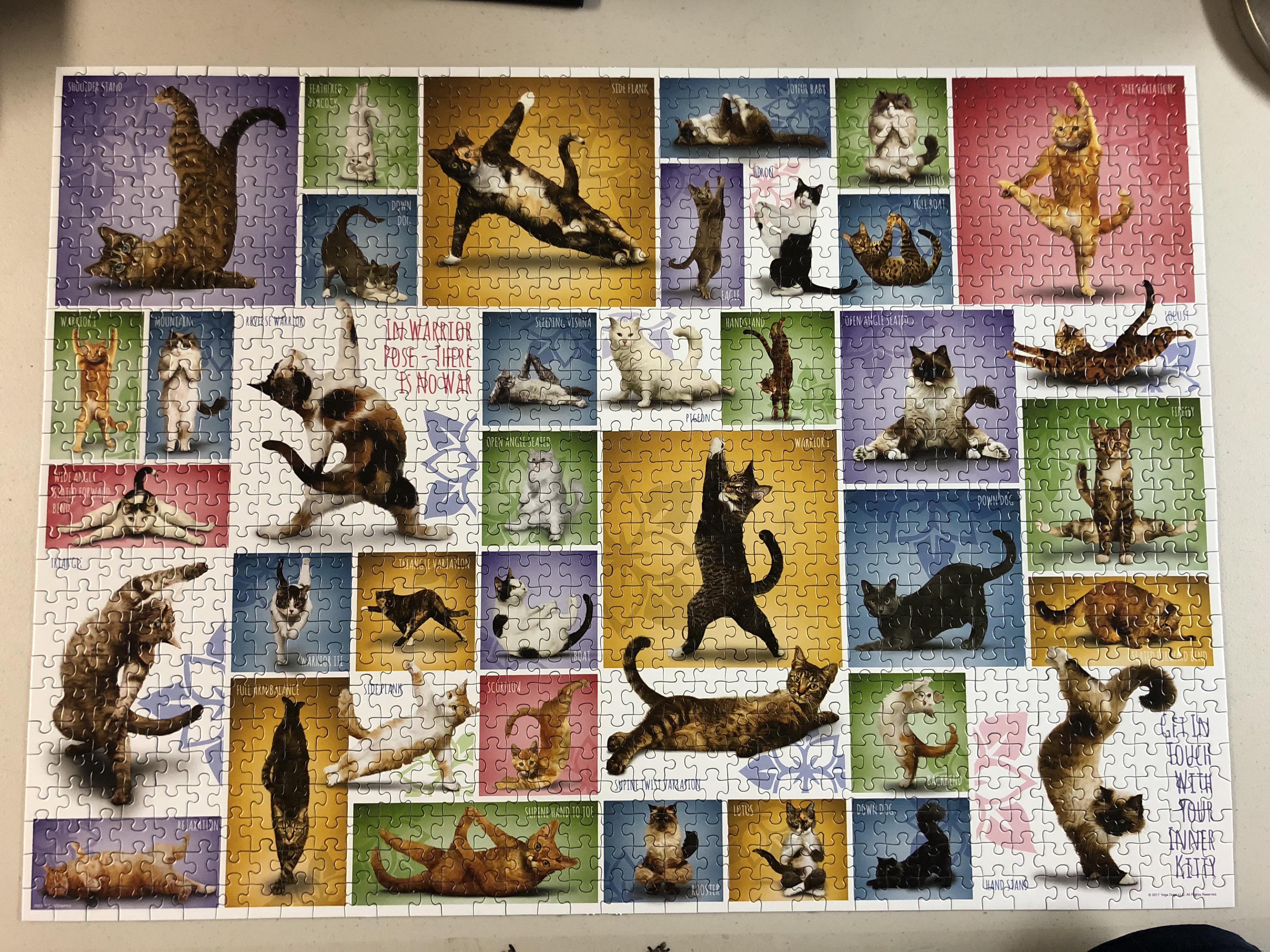 This 1000 piece puzzle was a lot of fun to complete! Not too