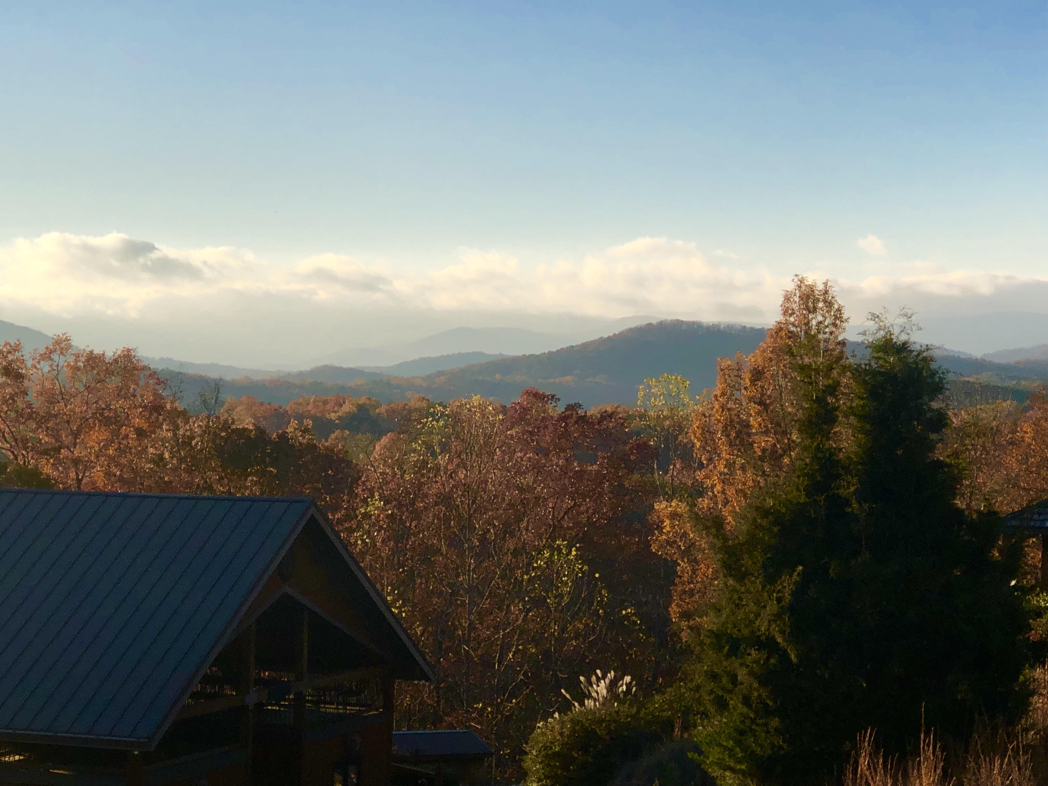 I’m in Roanoke Ridge. Where are you? [Share a pic] r/reddeadredemption