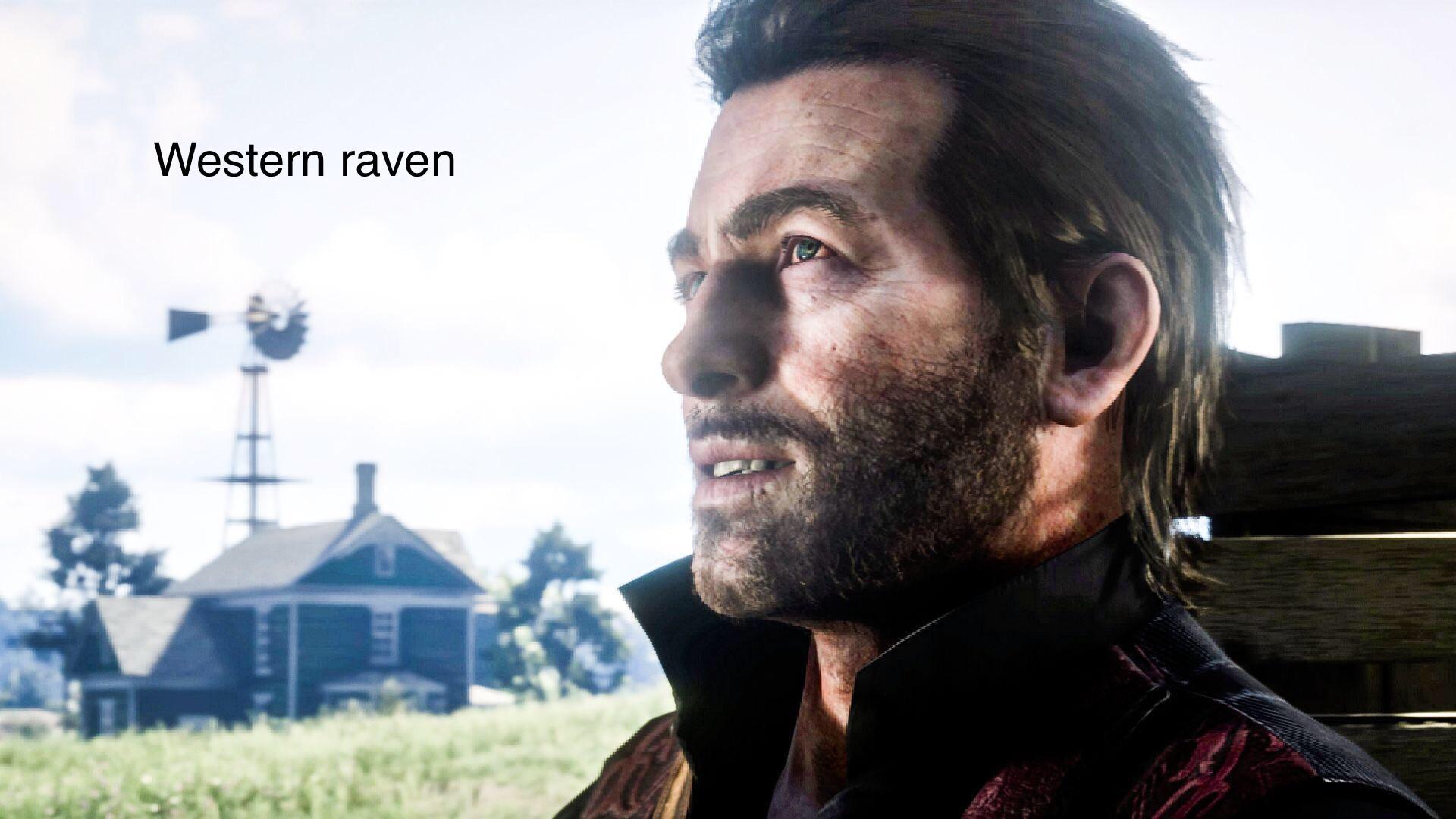 Is this the only bird in the game r/RDR2