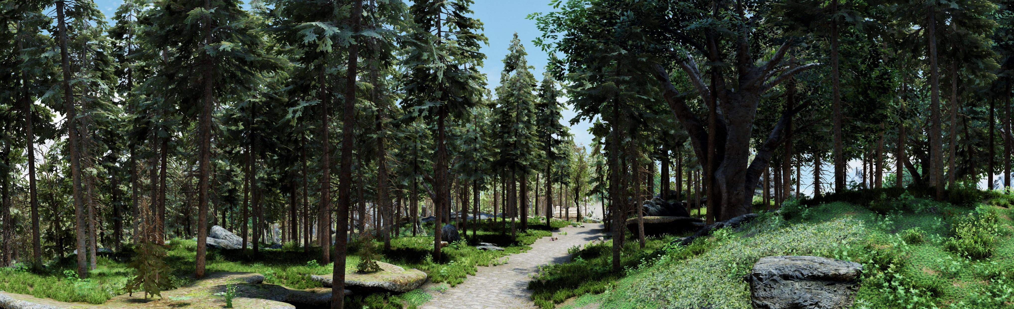 Testing forest settings SkyrimPorn