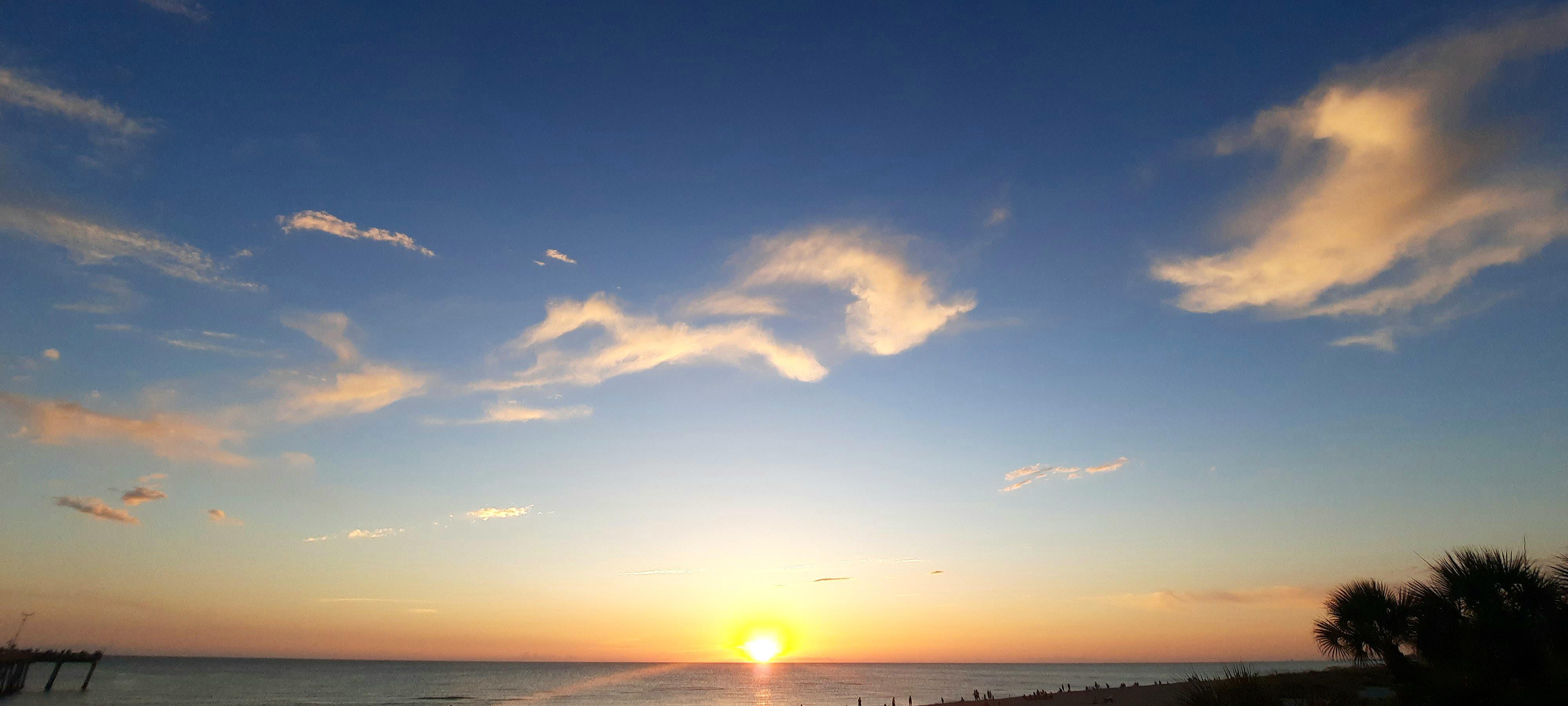 Sunset View in Venice Beach, FL r/florida