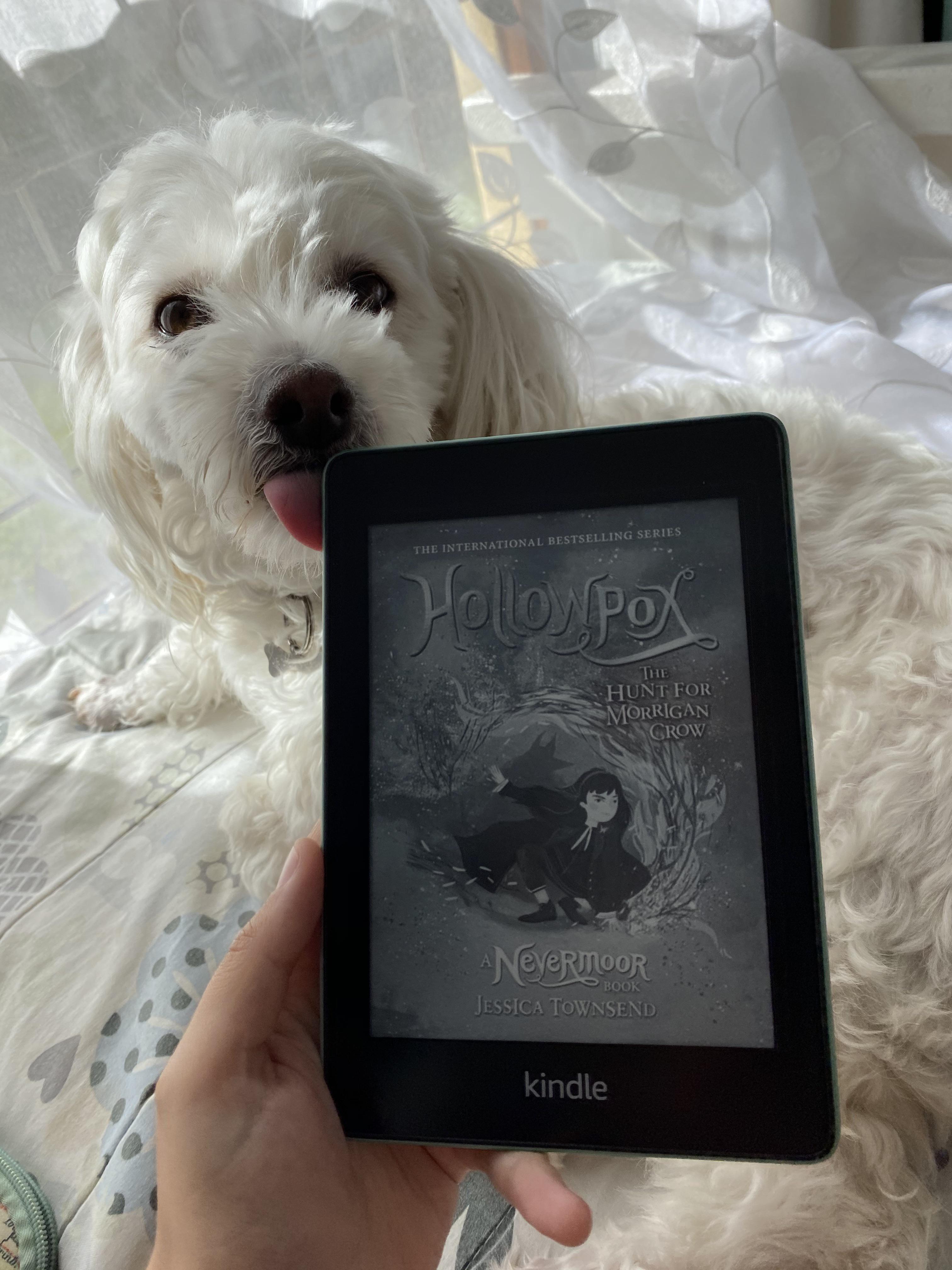 My new Kindle is dog approved! Upgraded from a PW 1, all I can say is