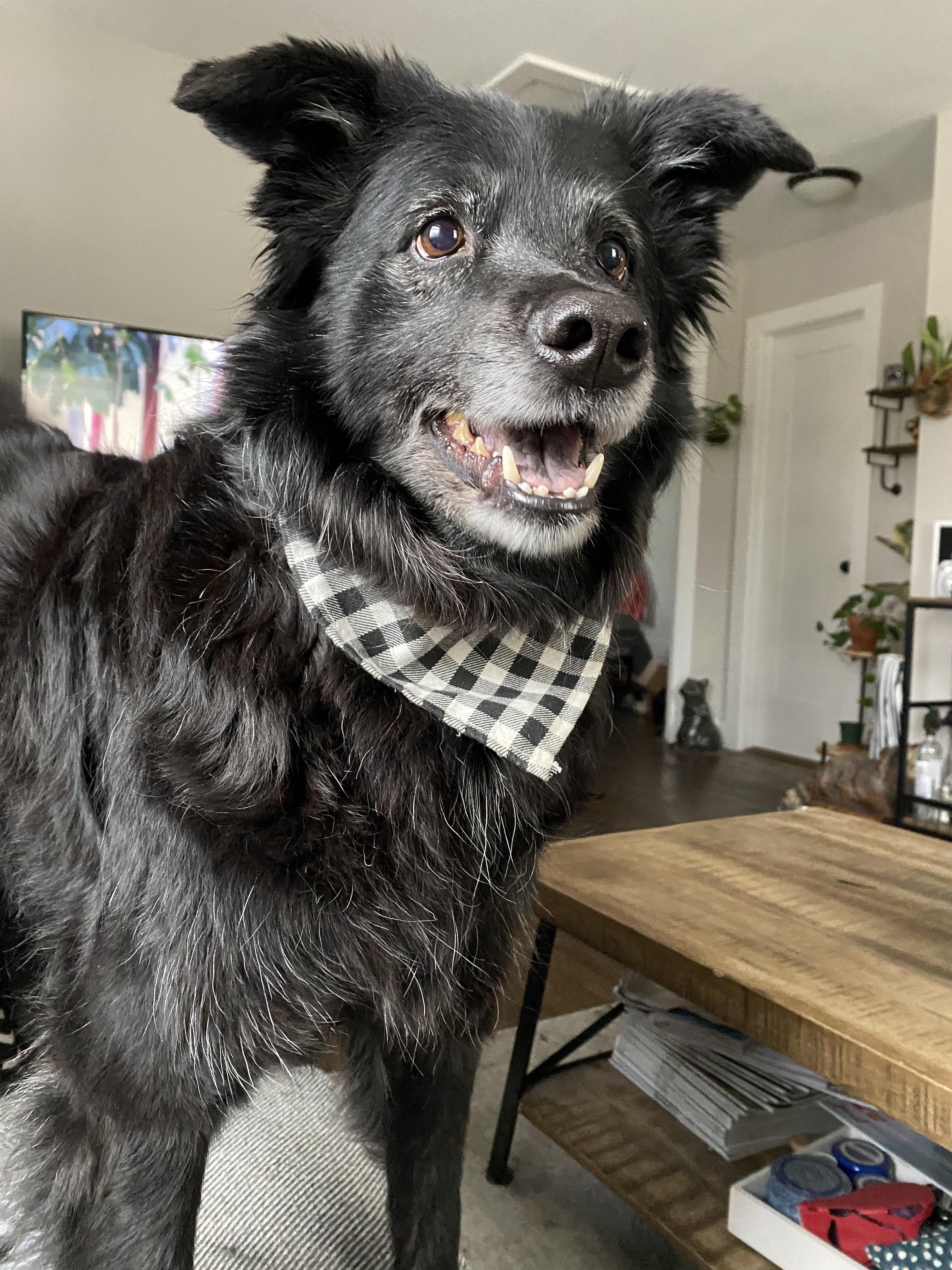 She may be getting up there in age and have a few more grey hairs, but