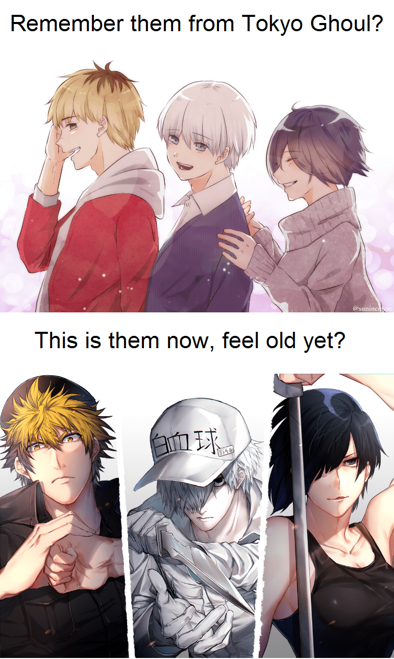 Tokyo Ghoul season 4 Animemes