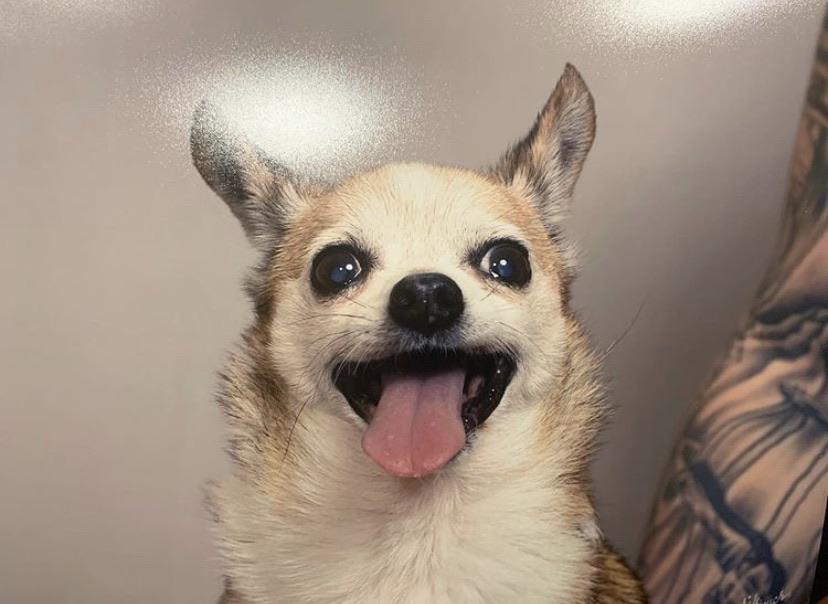 My son was happy after extracting all his teeth, hero