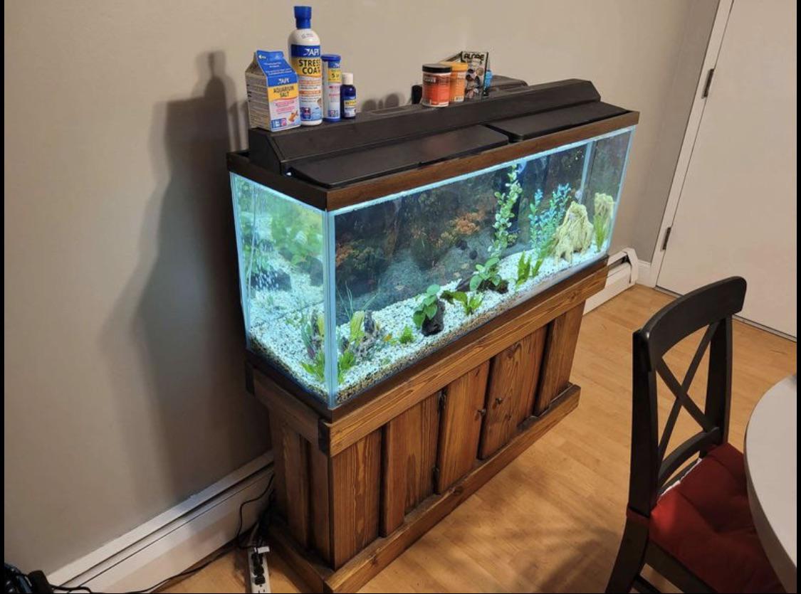 Is this 55 gallon with stand and Marineland Penguin Bio Wheel 350 a