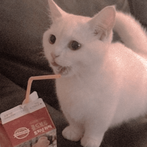 milk cat r/TimeworksSubmissions