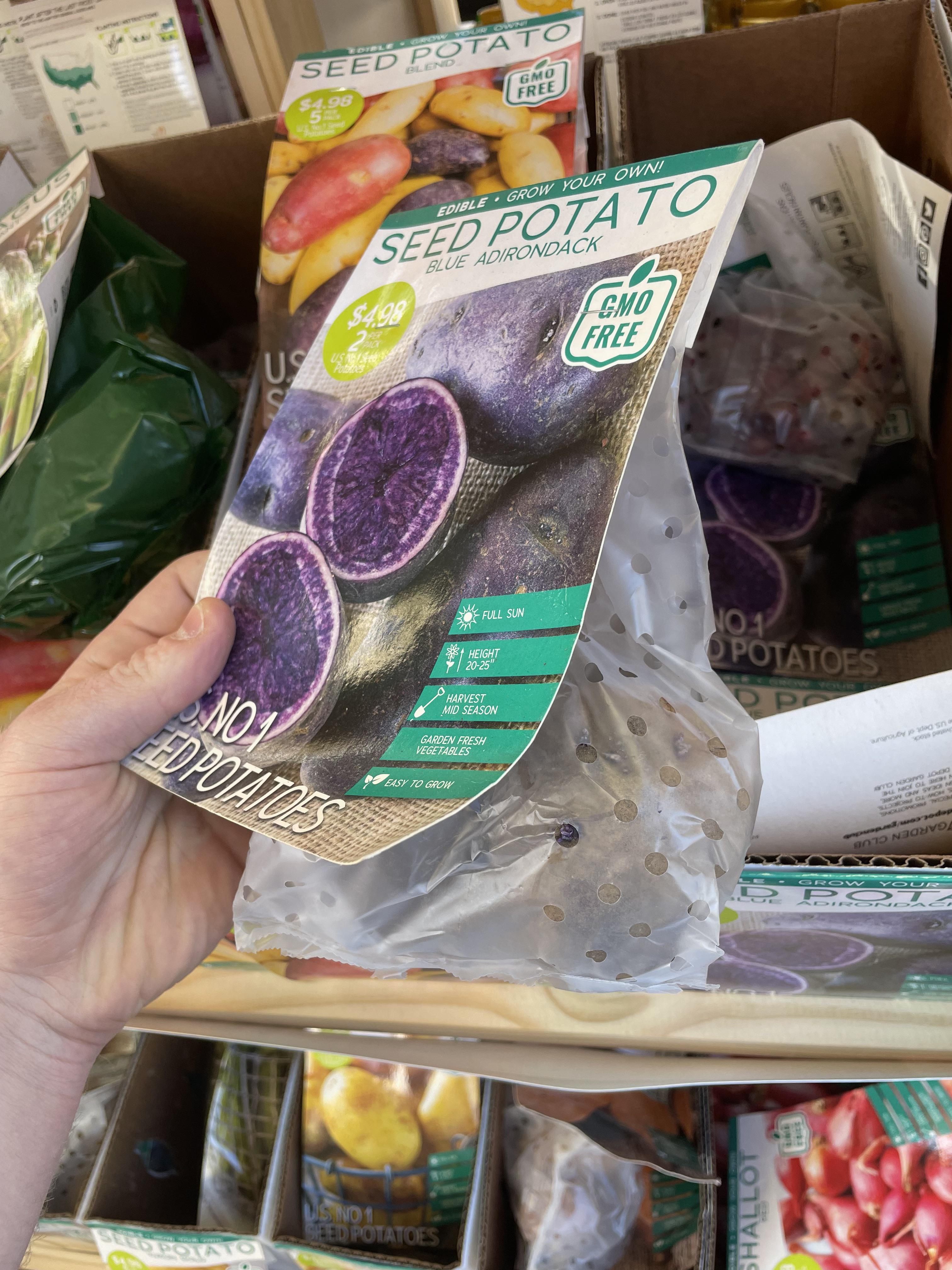 Fingerlings Home Bargains Hot Deals