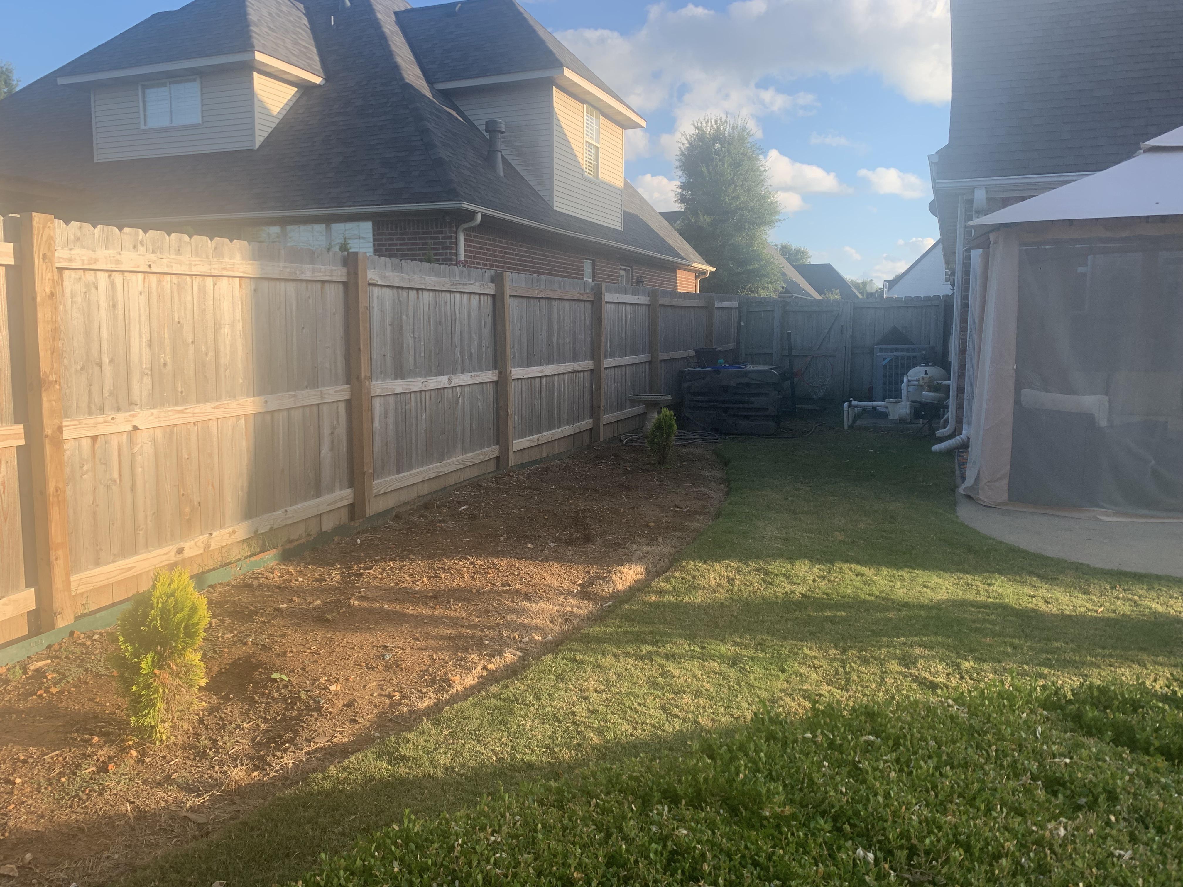 What to plant? Zone 6b full sun. 6 inches above the utilities. 6 foot