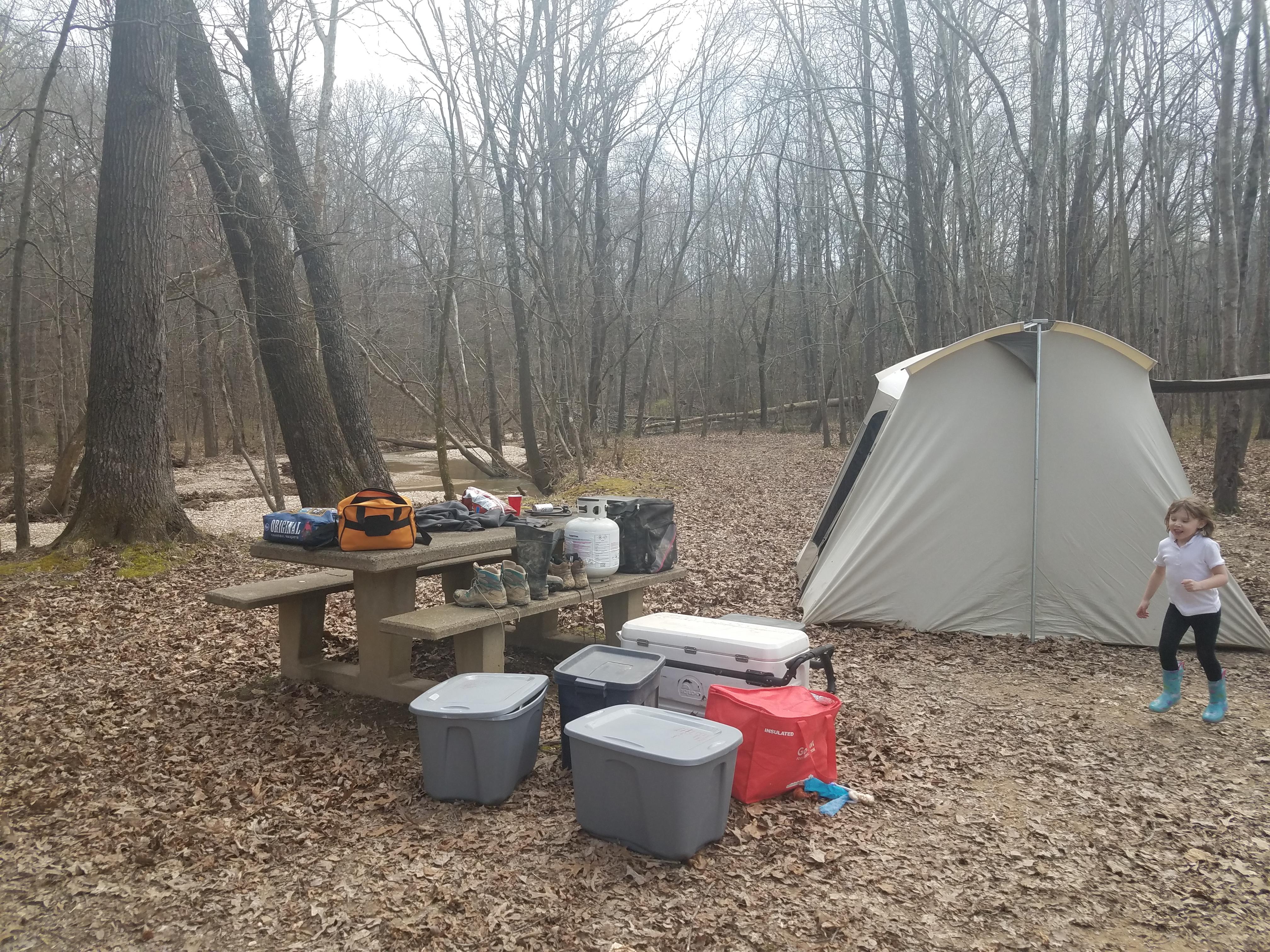 Camping Turkey Bay OHV Land Between the Lakes r/camping