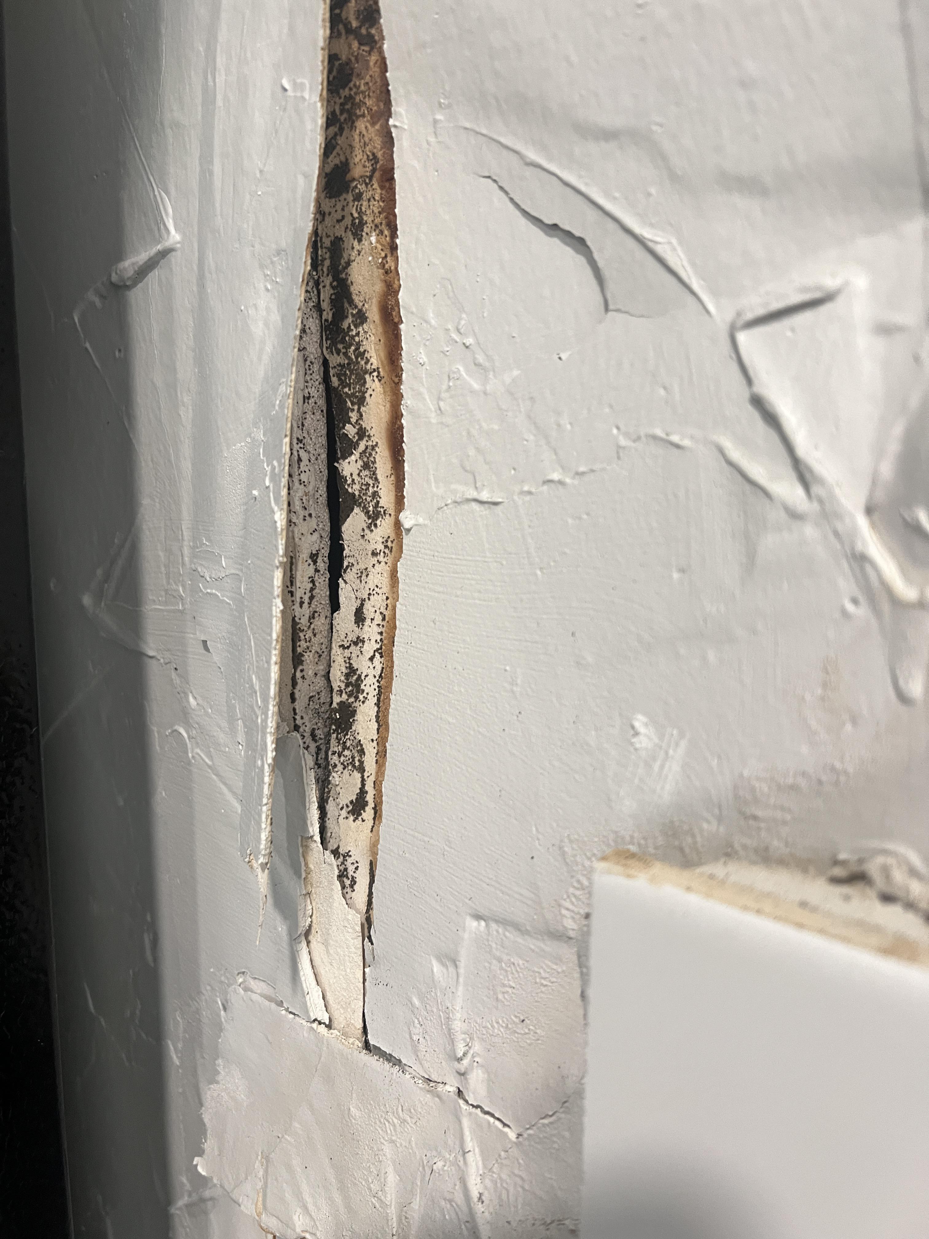 Found black mold in my Airbnb and didn’t even get a full refund. They