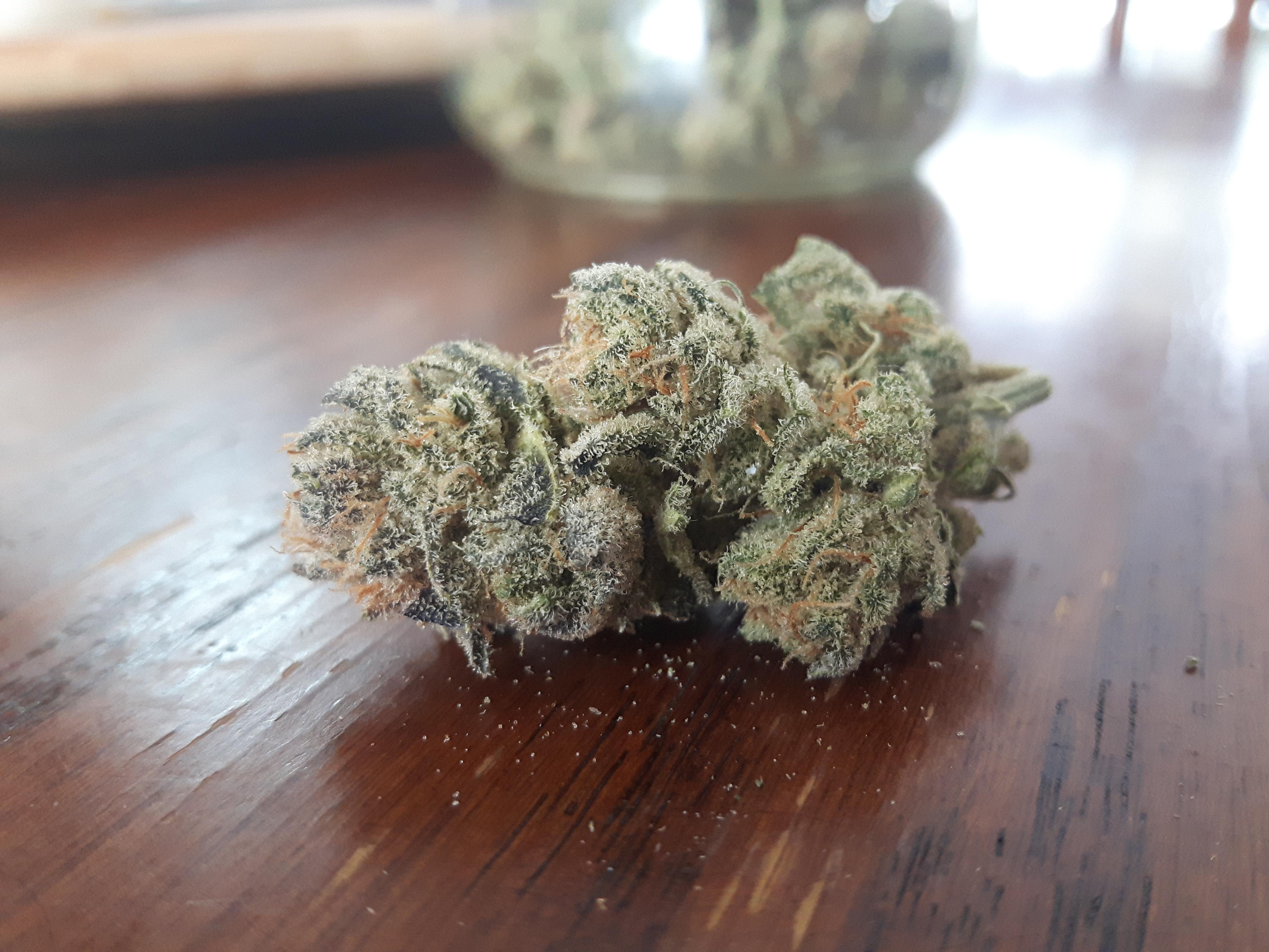 Gorilla Glue 4 crossed with White Widow, homegrown r/trees