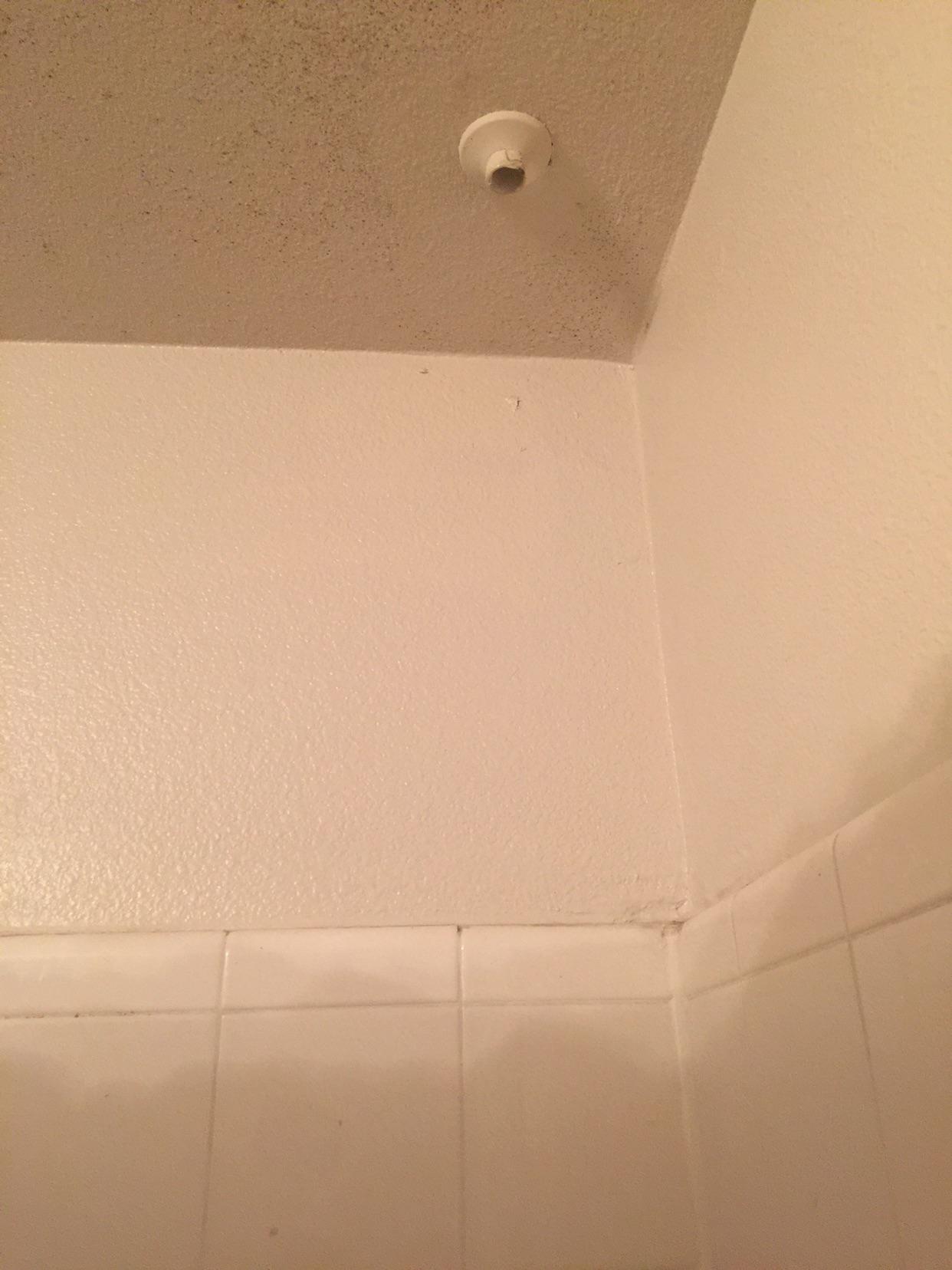 What is this and why is it dripping? We haven’t used the shower for
