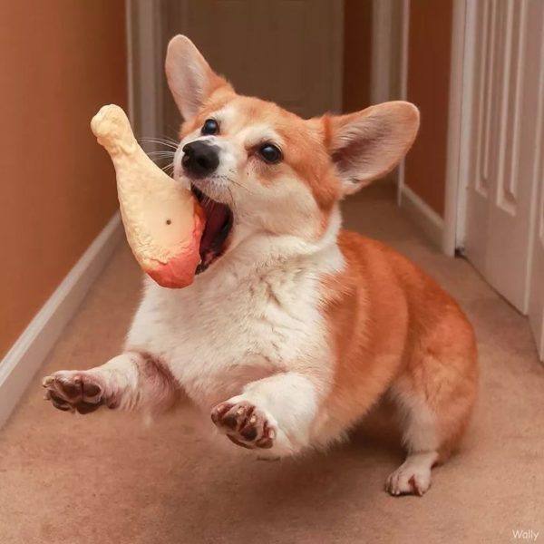 Happy Thanksgiving. Remember to keep your turkey sticks safe from your