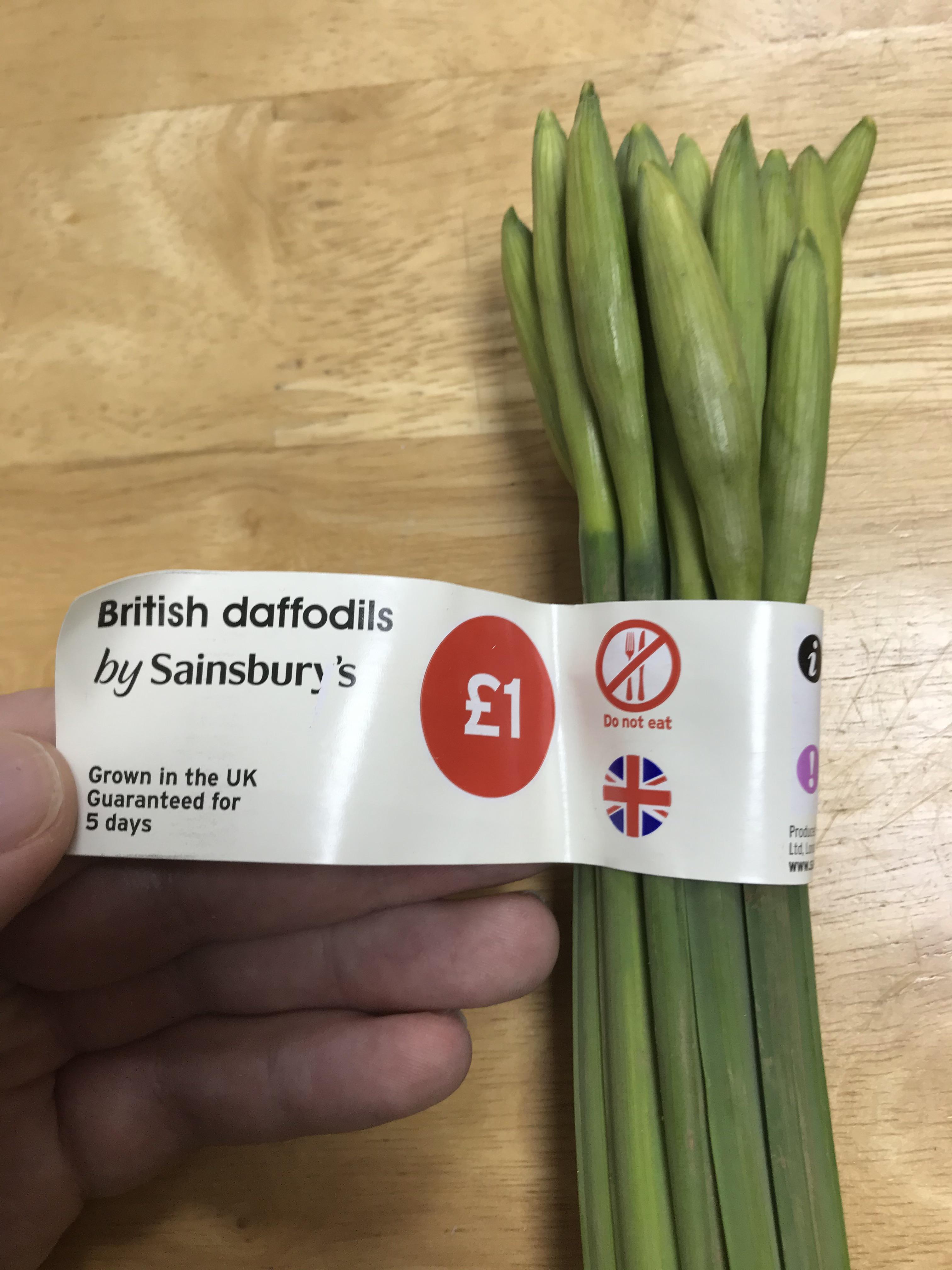 Never considered eating daffodils before, but now I’m tempted to try