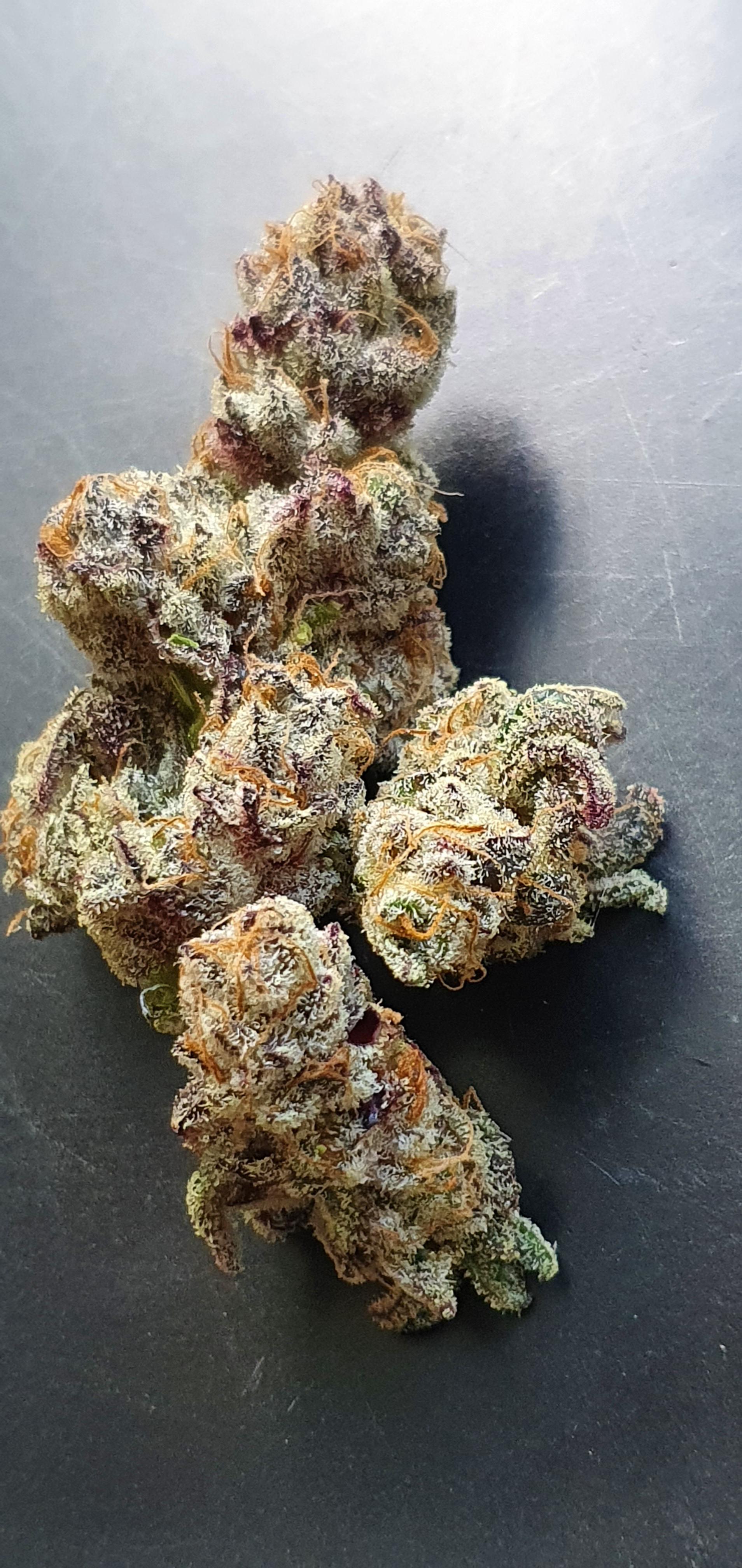 1st go at Thug Pug Unicorn meat r/ausents