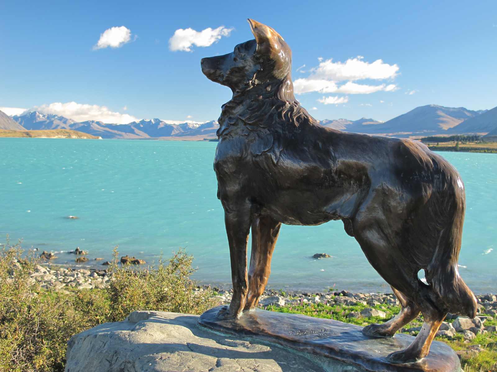 This blessed Border Collie statue at Lake Tekapo New Zealand was