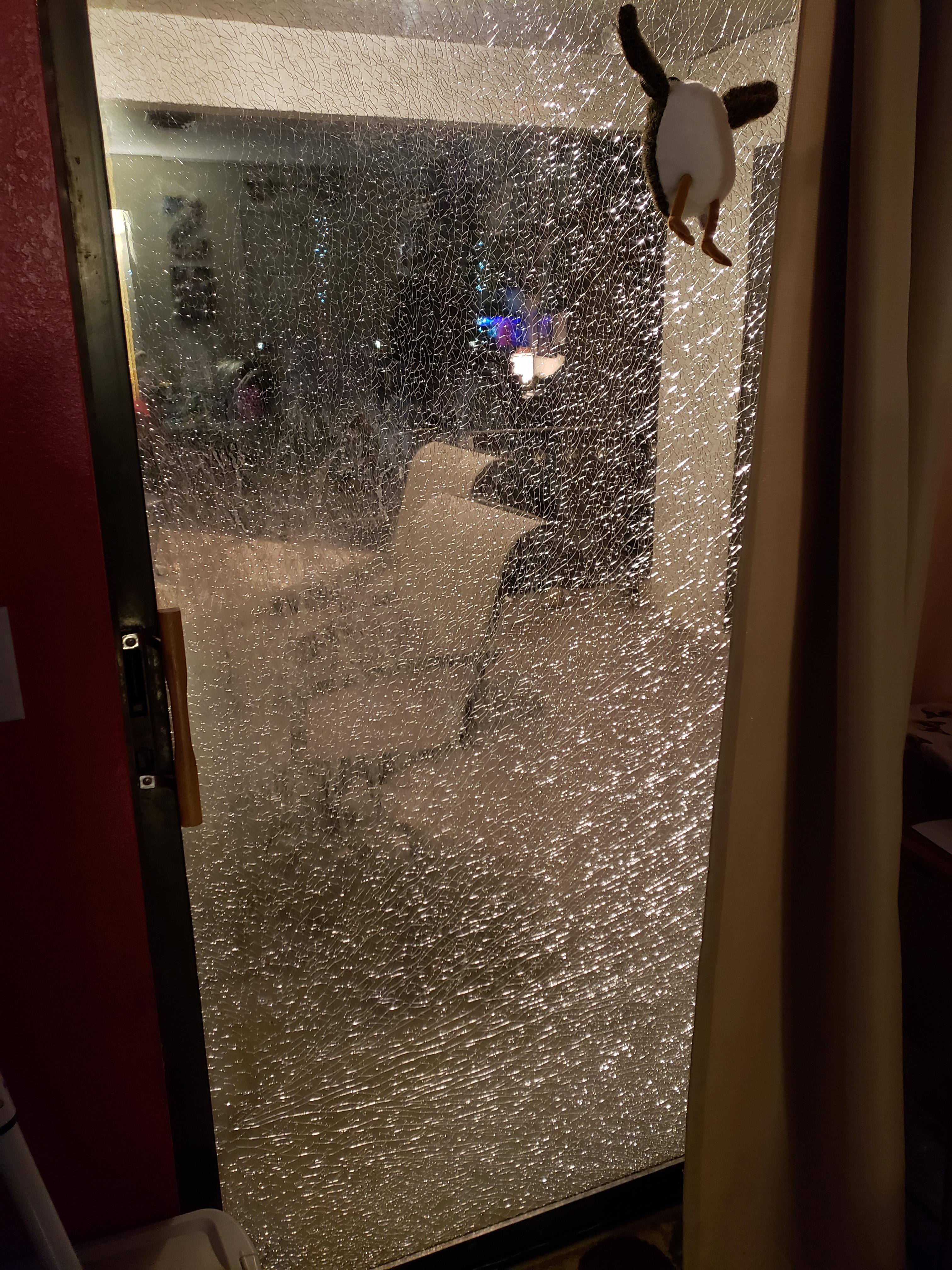 My Sliding Glass Door Shattered r/Wellthatsucks