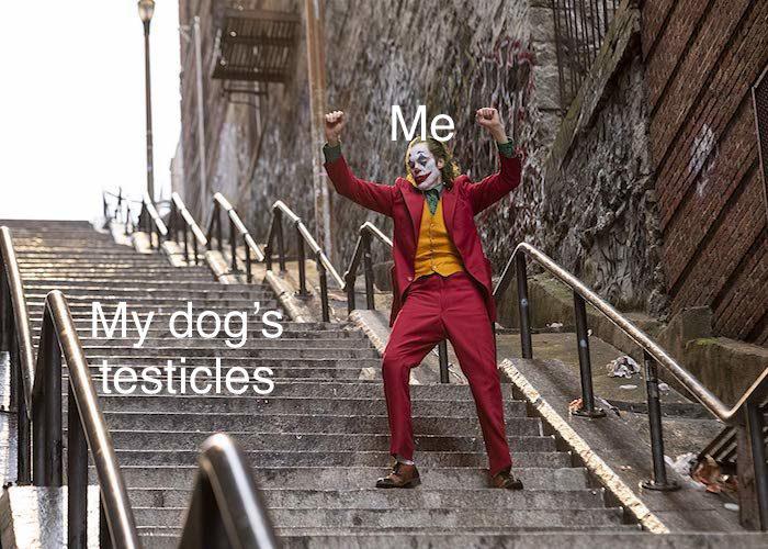 Getting my dog neutered so he will be calmer and live longer. r/memes