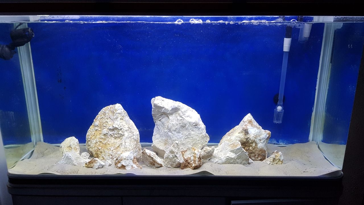 stocking ideas? r/Aquariums